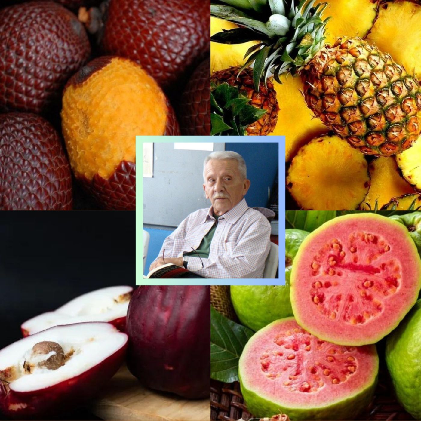 Projeto Dose de Letra