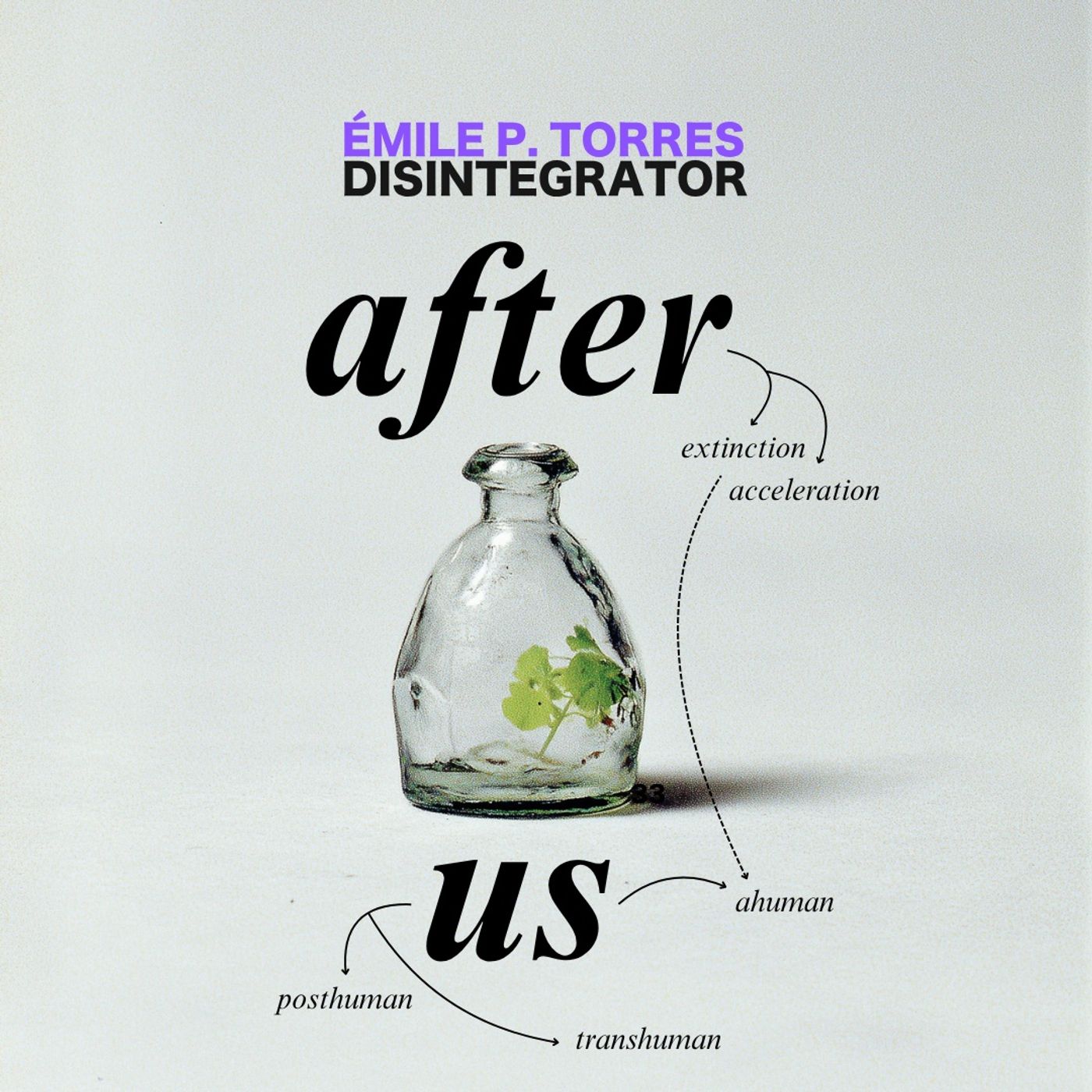 Disintegrator