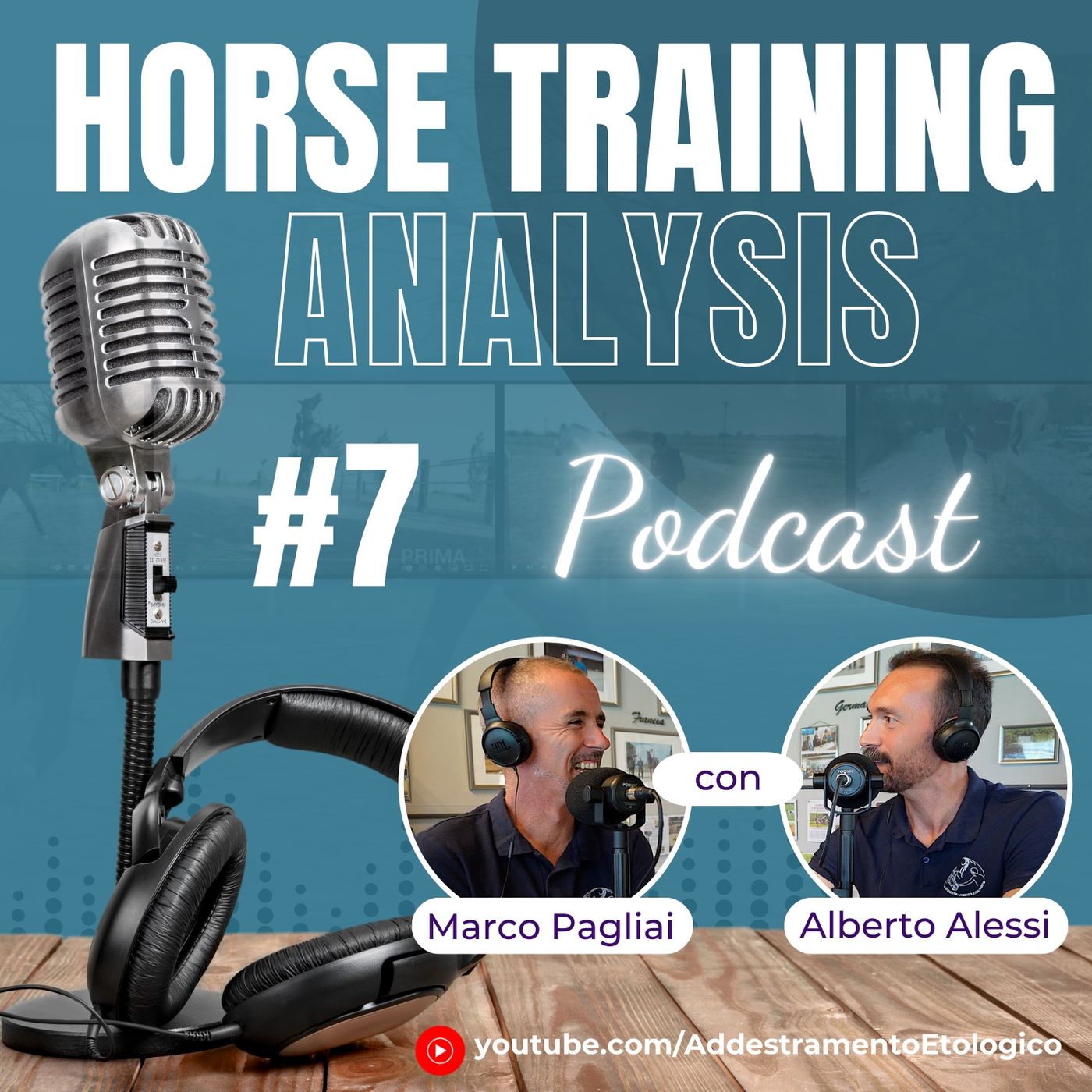 Horse Training Analysis