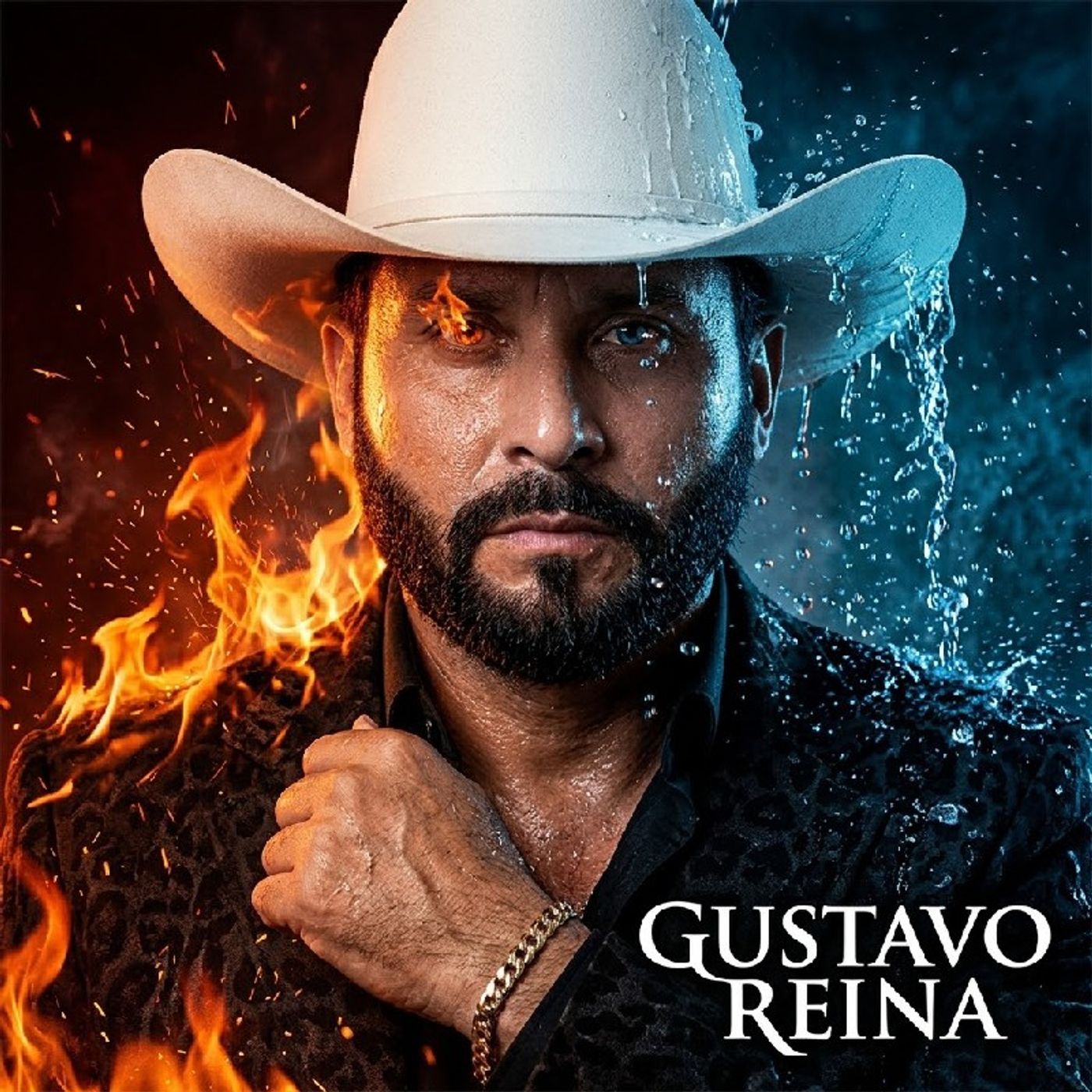 Portada de LOS COMPADRES