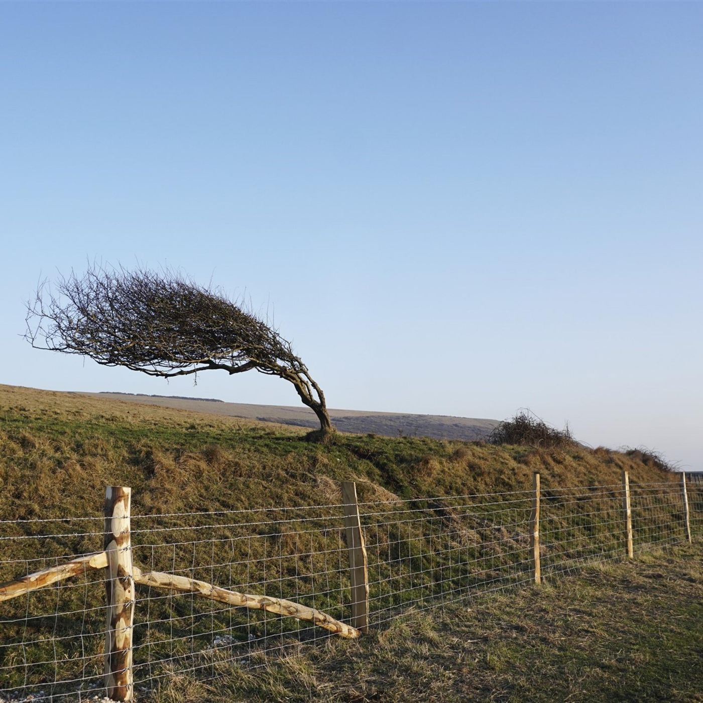 Sleep Sounds by Tmsoft