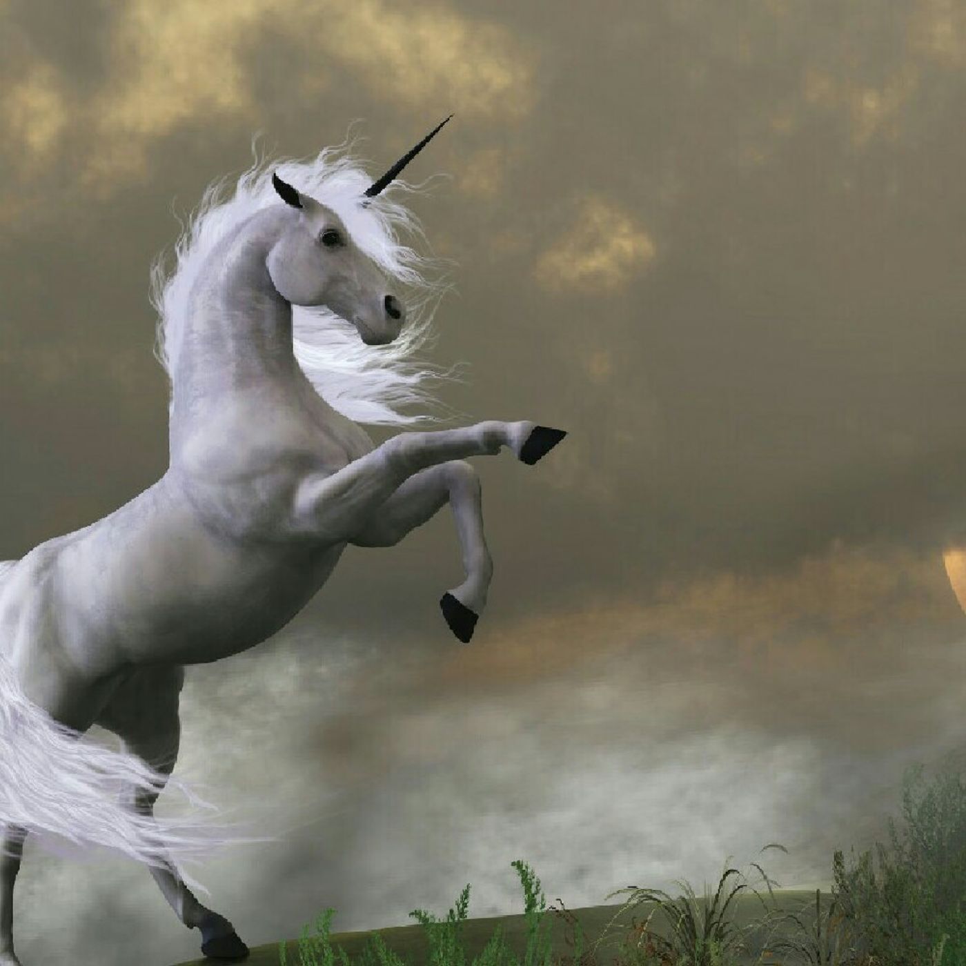 Music 🎶 Rock, Industrial And Trance cover art