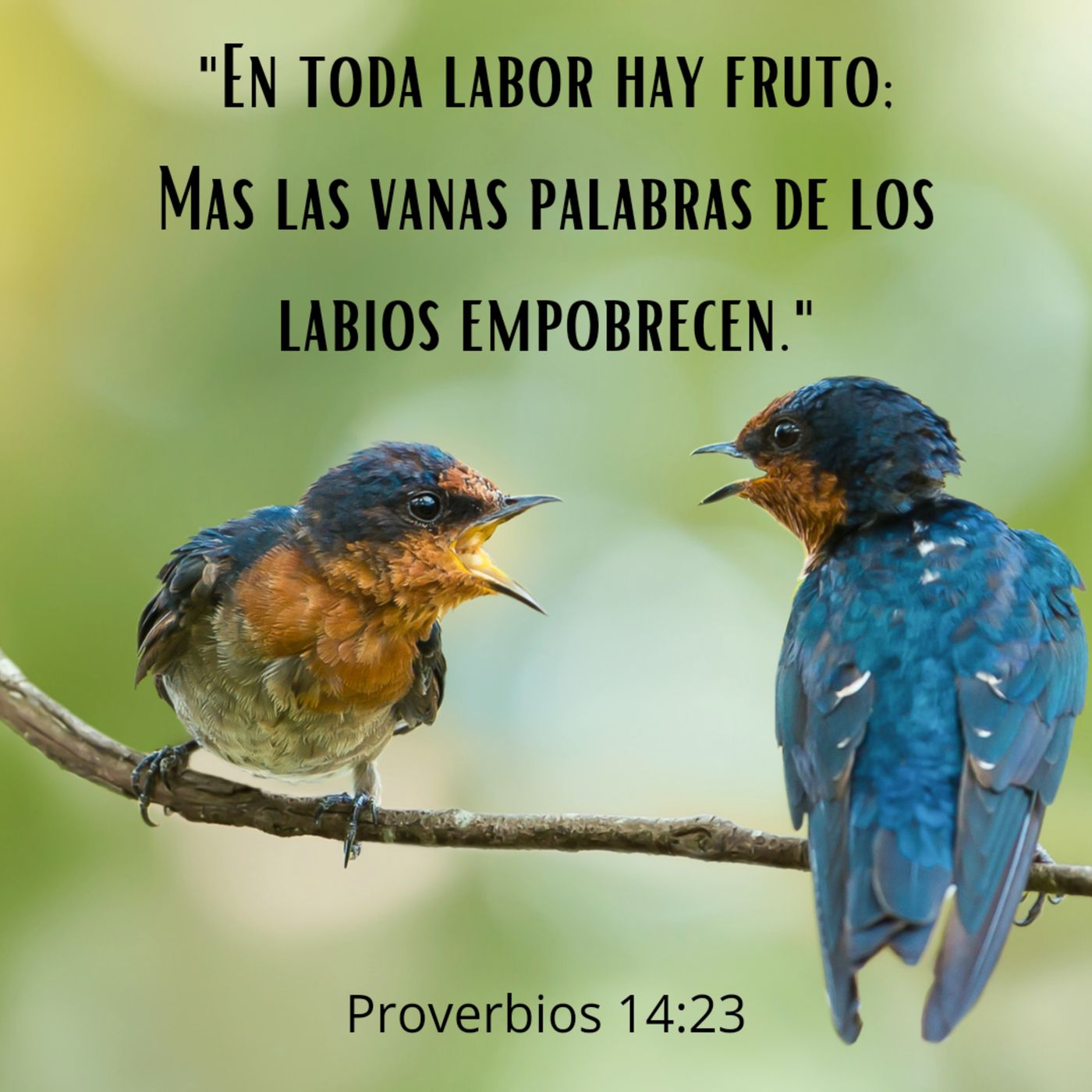 Joyas de Sabiduría (Libro de Proverbios)