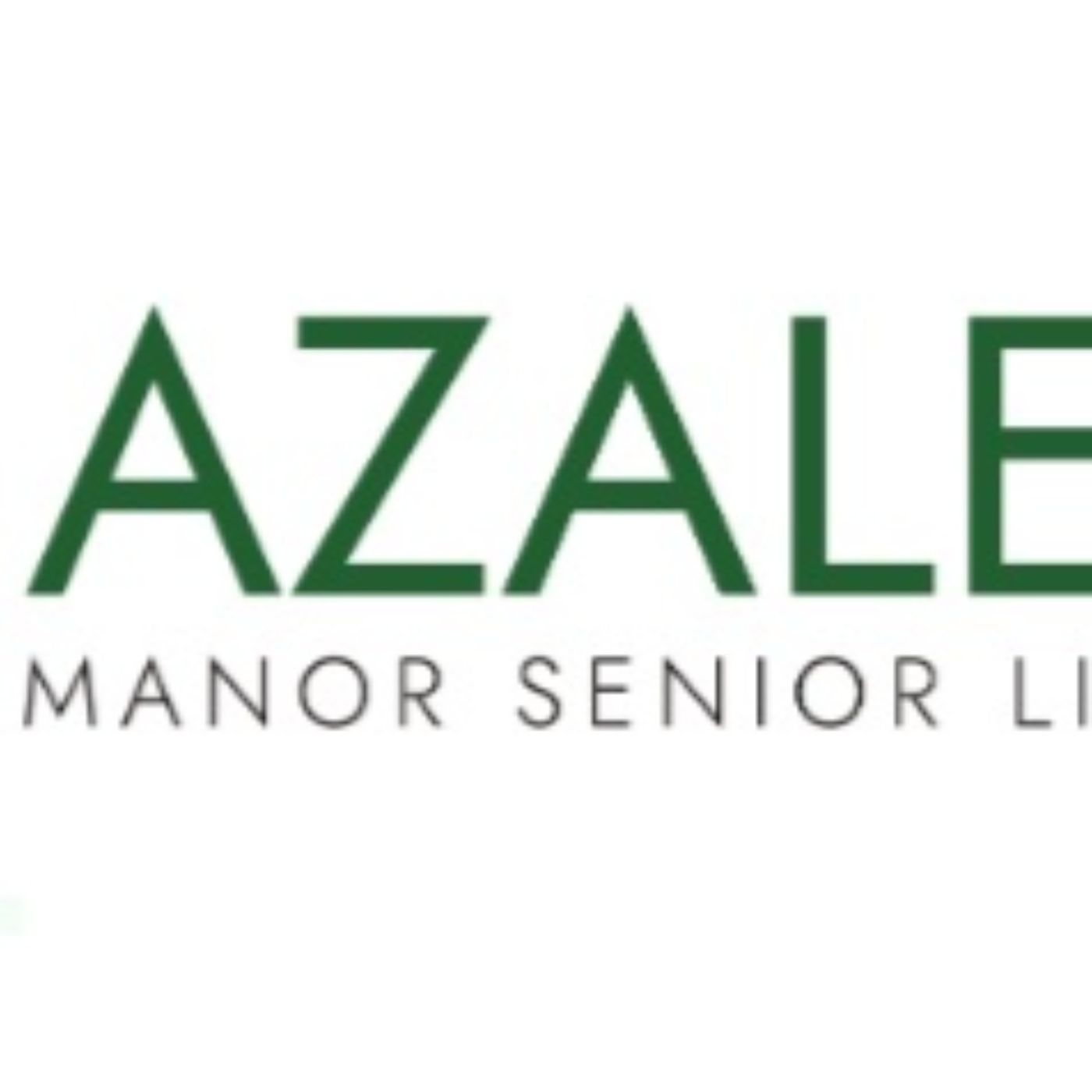 Azalea Manor - Assisted Senior Living Home Services in Marietta