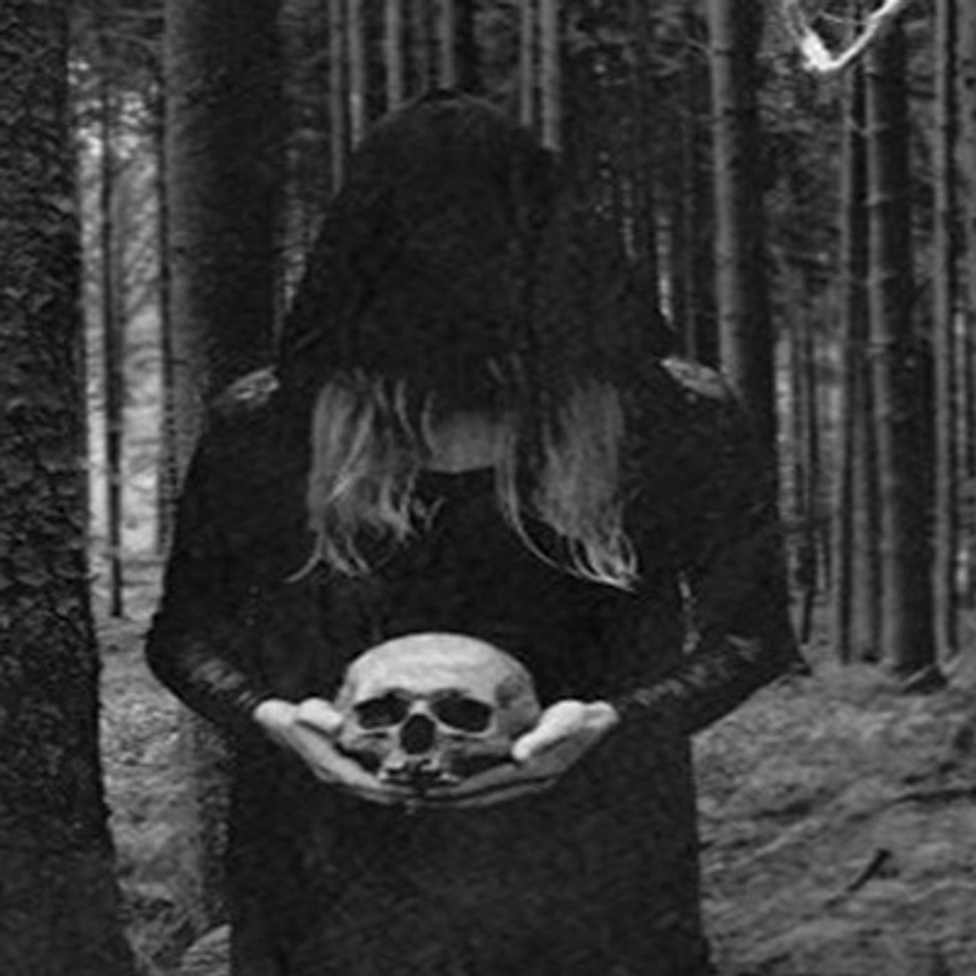 Cráneos Profanados Historias De Terror - REDE