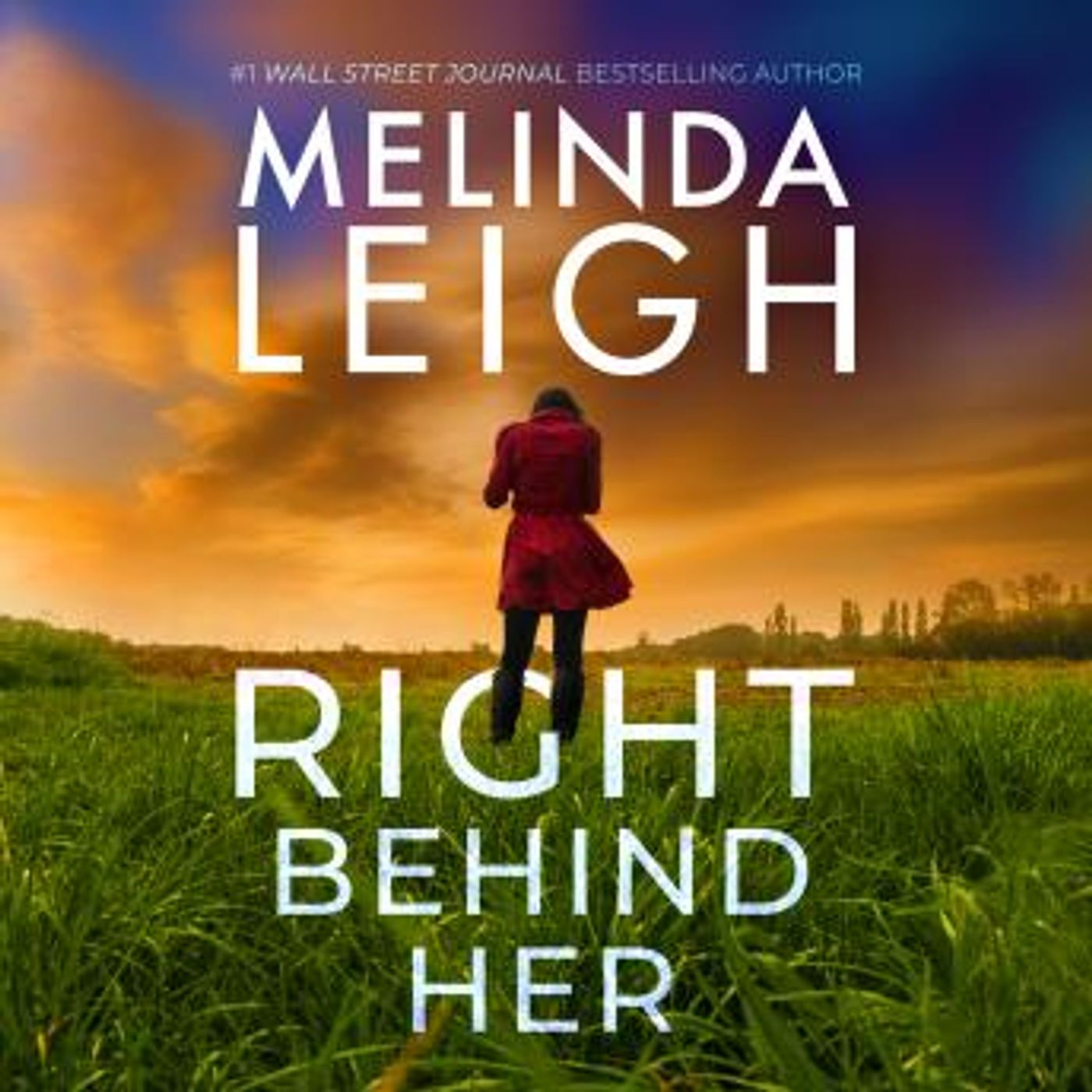 Find Best-Selling Full Audiobooks in Mystery, Thriller & Horror, Police & Detective
