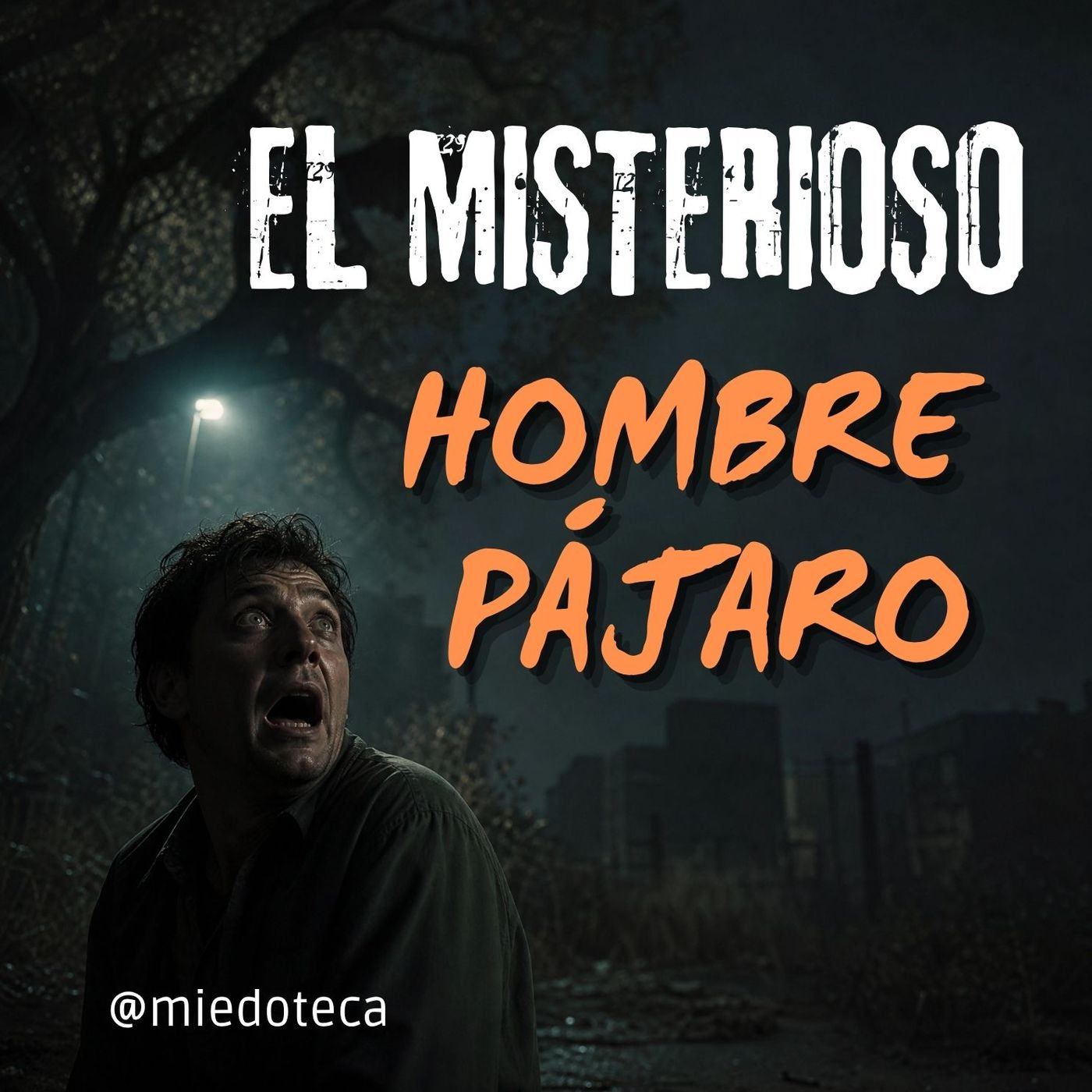 El Aterrador Encuentro Con Un Ser Alado Que Nadie Puede Explicar | 2930 07 episode artwork