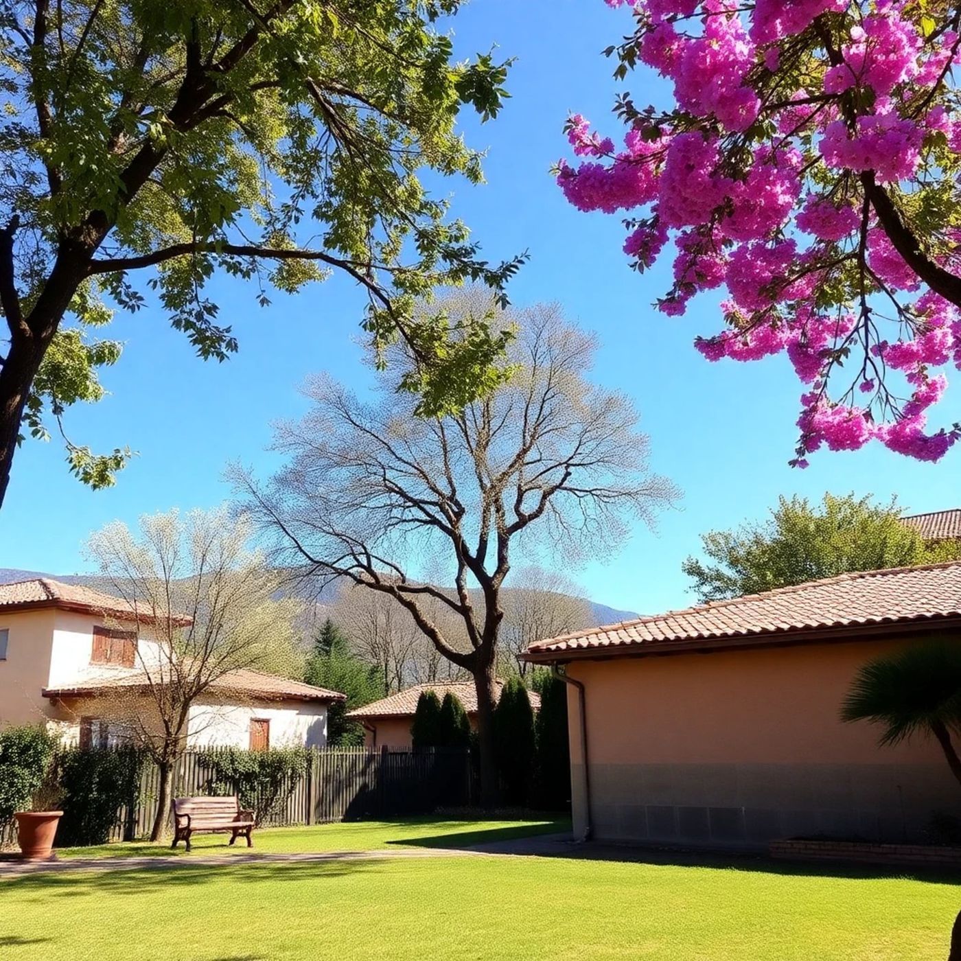 Foco no Amanhã Podcast