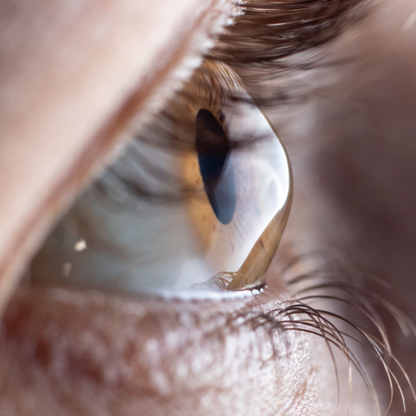 The Eye News Italia
