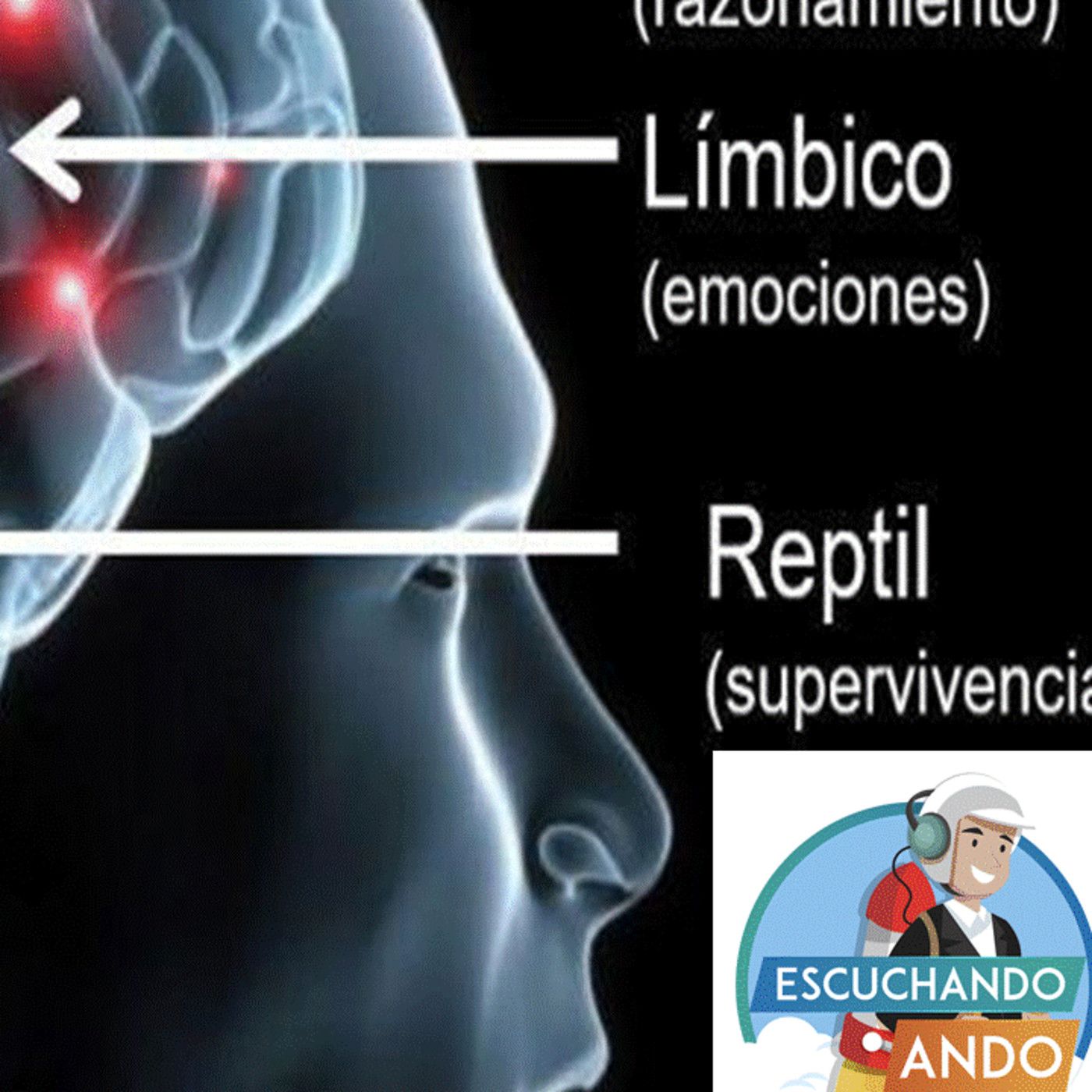 Escuchando Ando