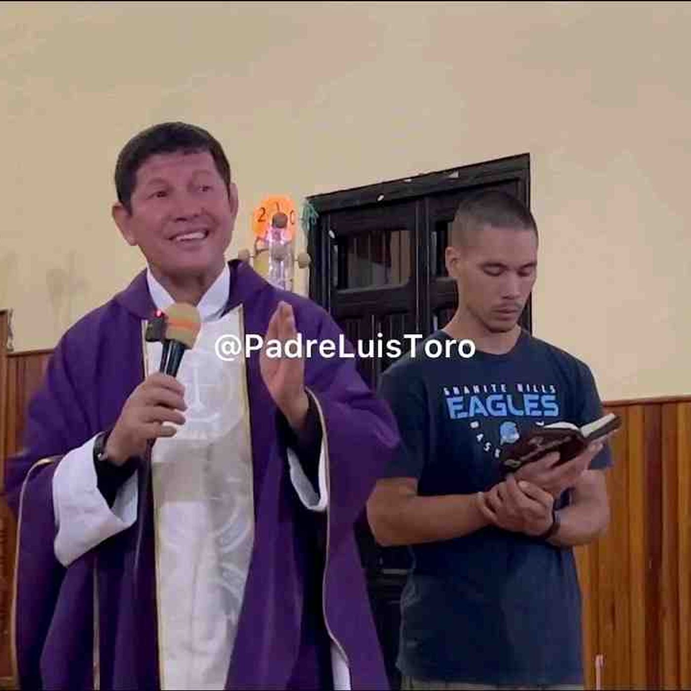 Padre Luis Toro. Enfermedades del alma_ cómo sanarlas_(MP3_160K) episode artwork