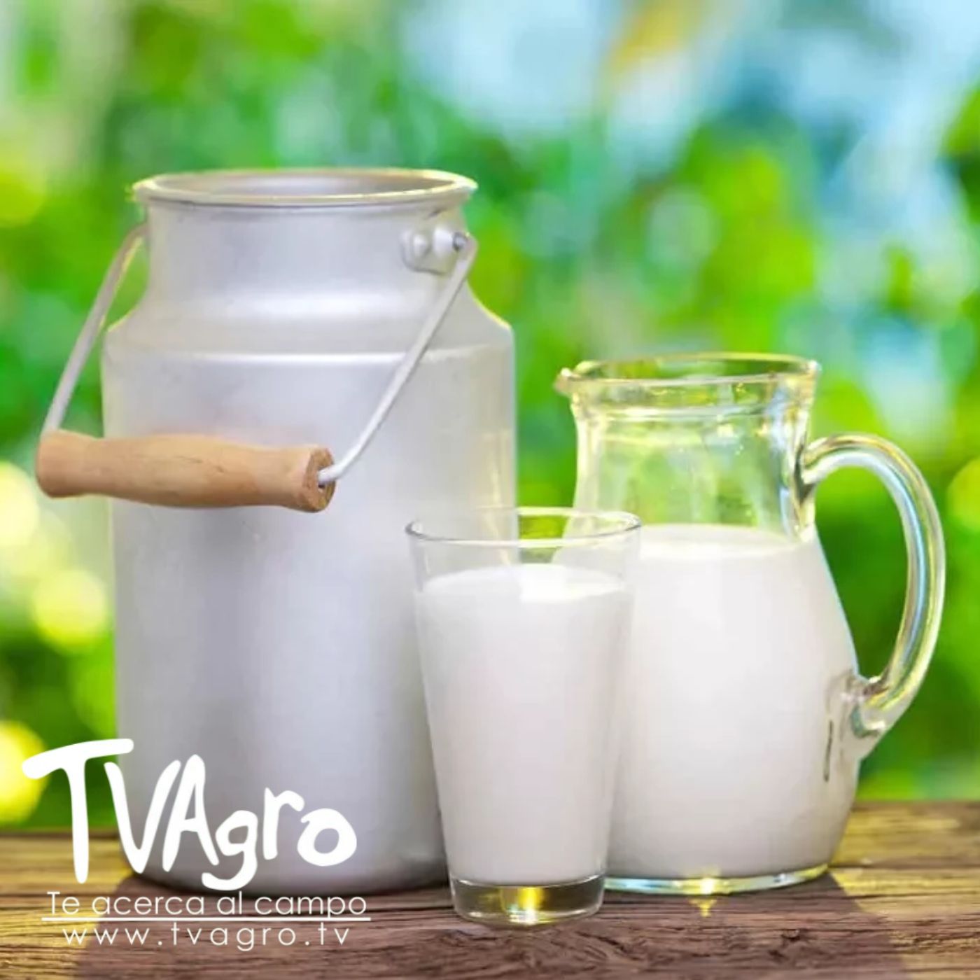 TV AGRO
