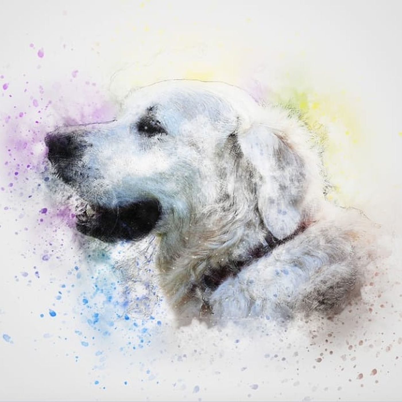 De Geweldige Hond En De Wonderbaarlijke Kat | Sprookjes Over Vriendschap De Geweldige Hond En De Wonderbaarlijke Kat | Sprookjes Over Vriendschap