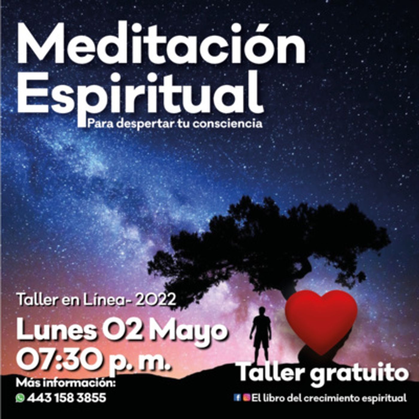 Meditaxion