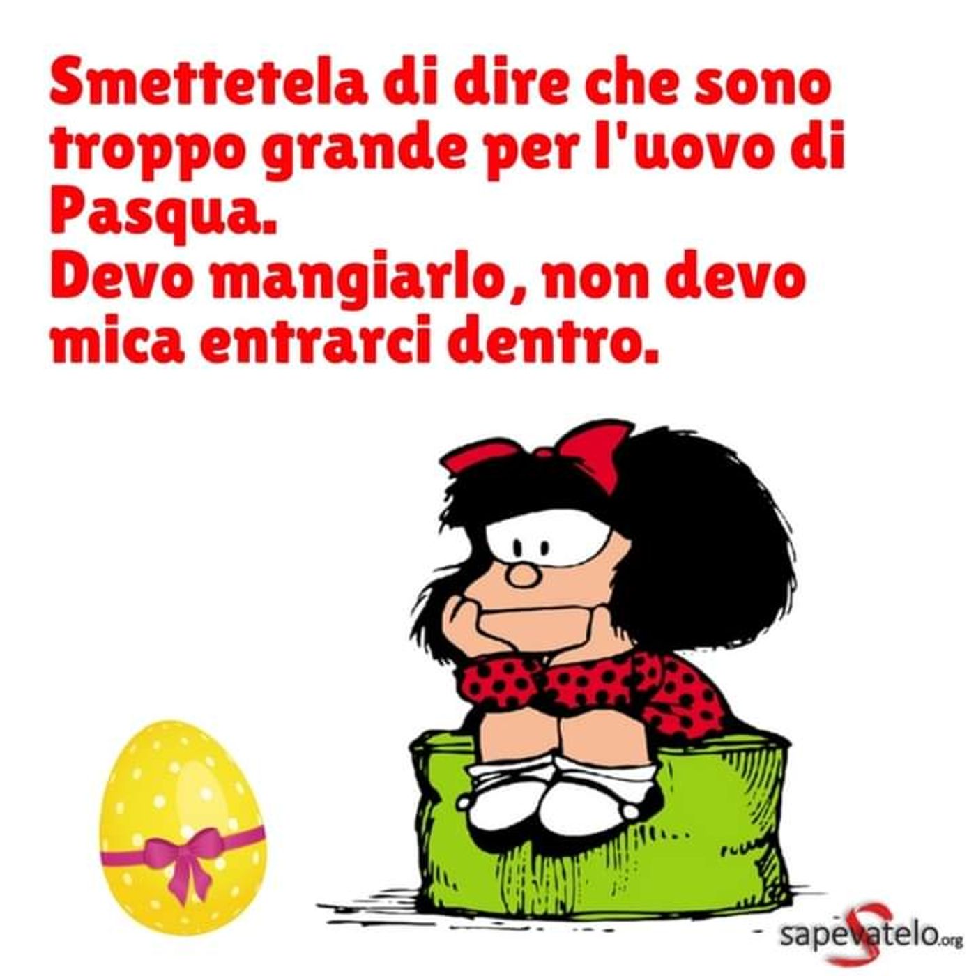 Linea News