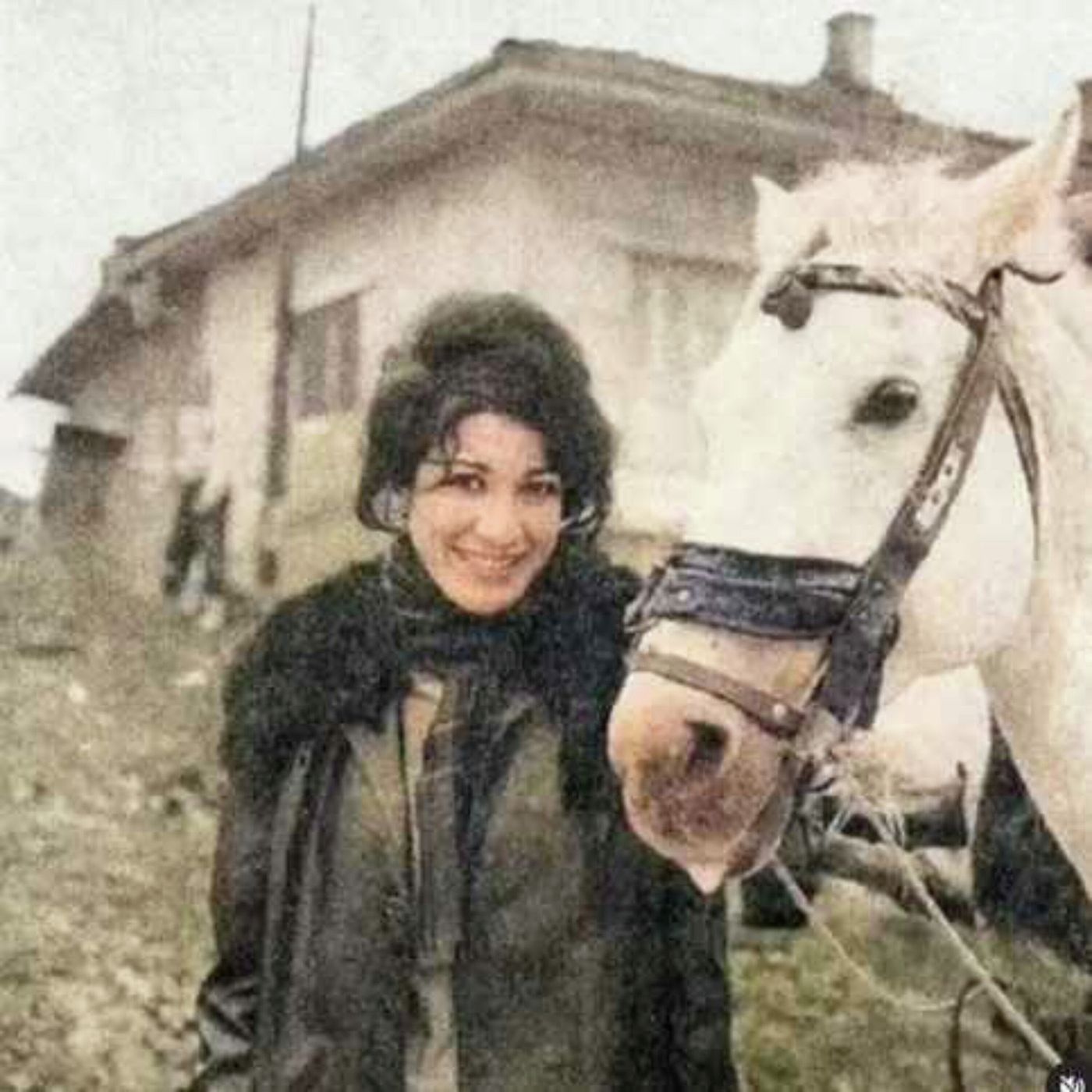به یاد زنده یاد بانو فروغ فرخزاد