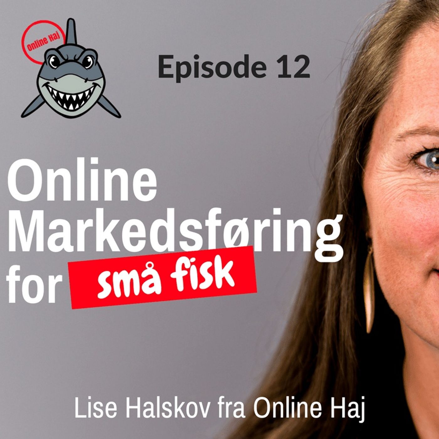Online Markedsføring med Lise Halskov