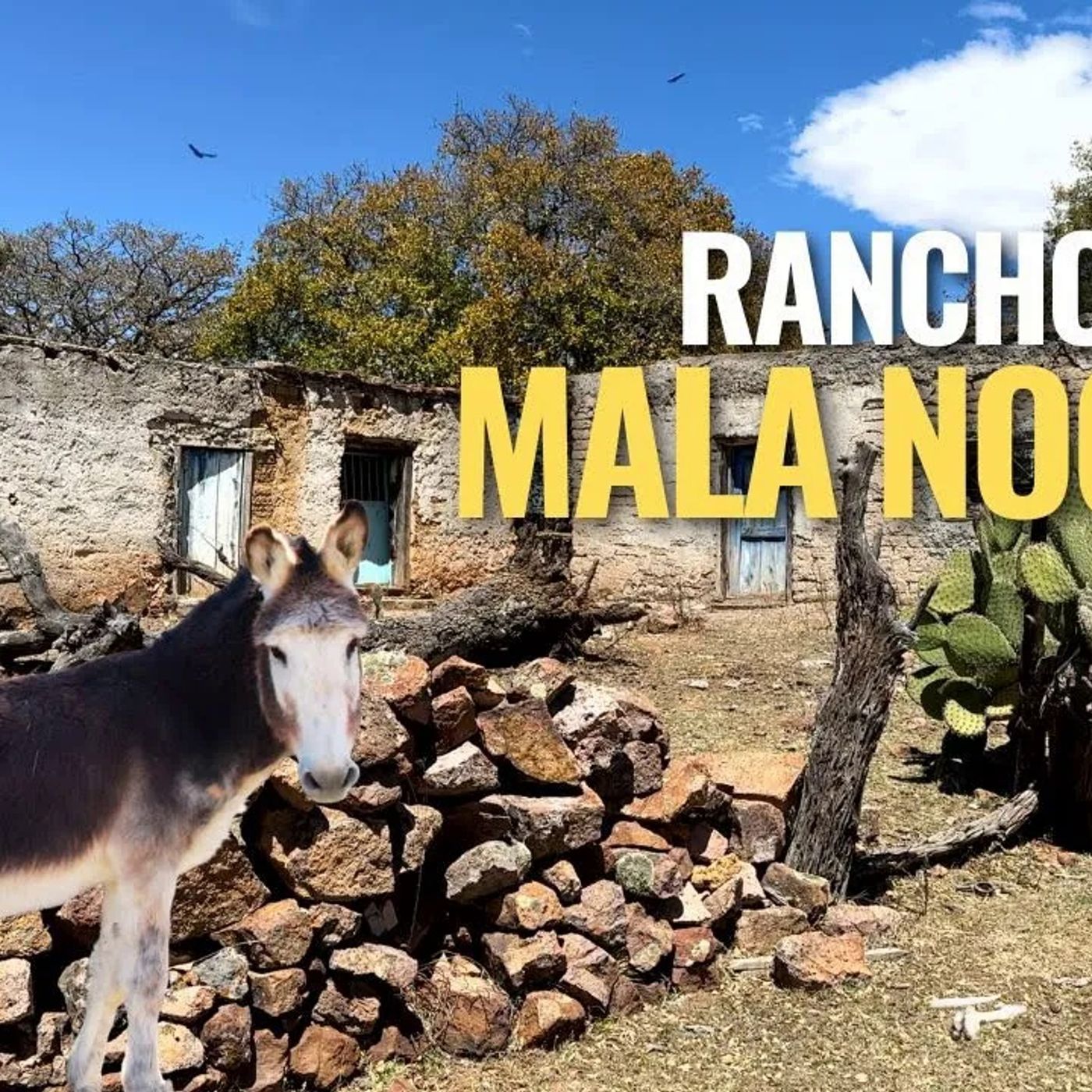 _UN RANCHO ABANDONADO PERDIDO ENTRE LA SIERRA_