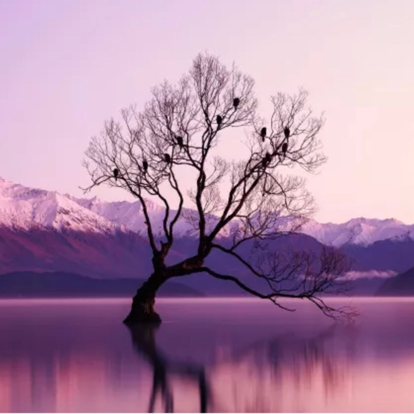 Episode 1483 - Jo’s Place Episode 1483 - Jo’s Place