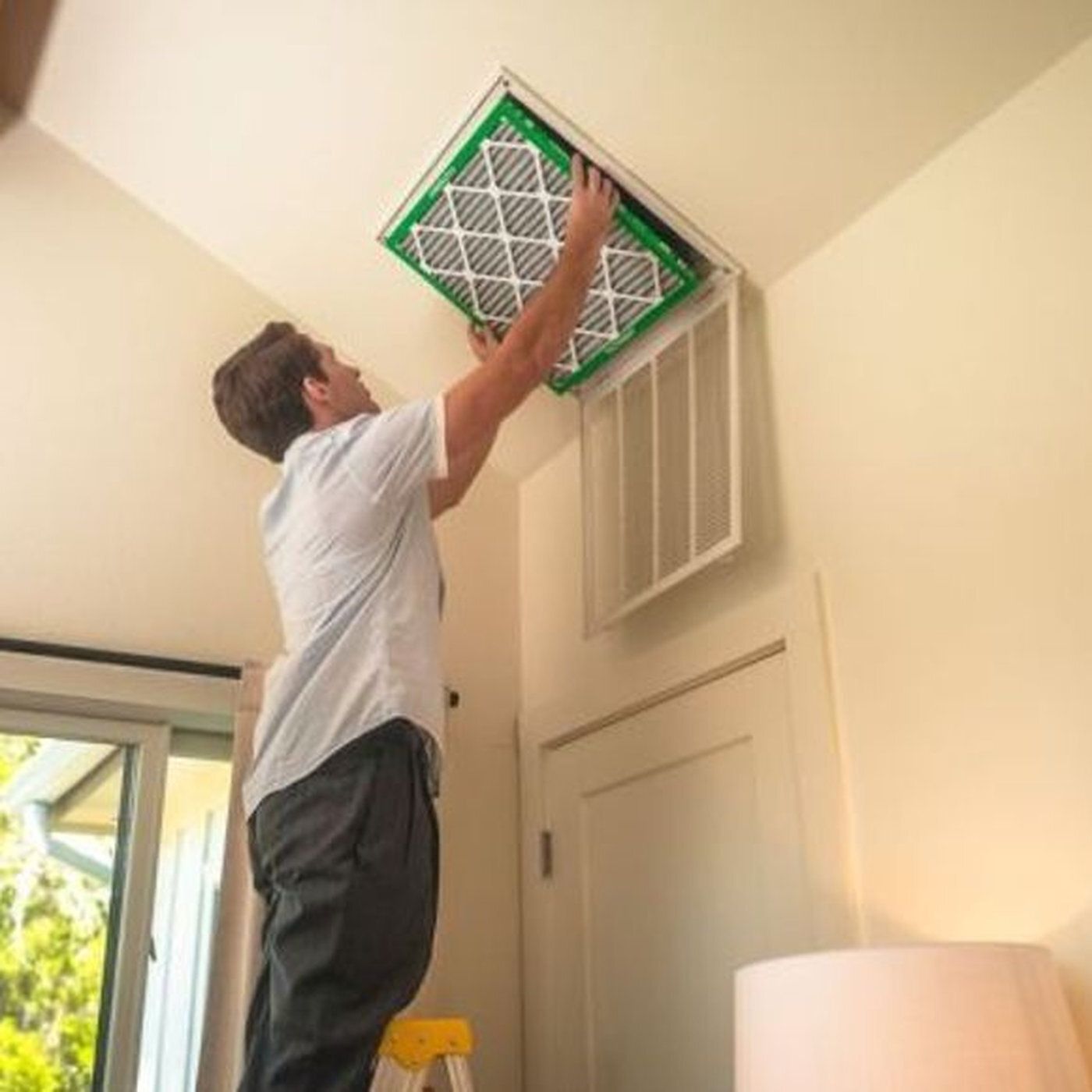 Best Air Filters for Immune-Compromised Households