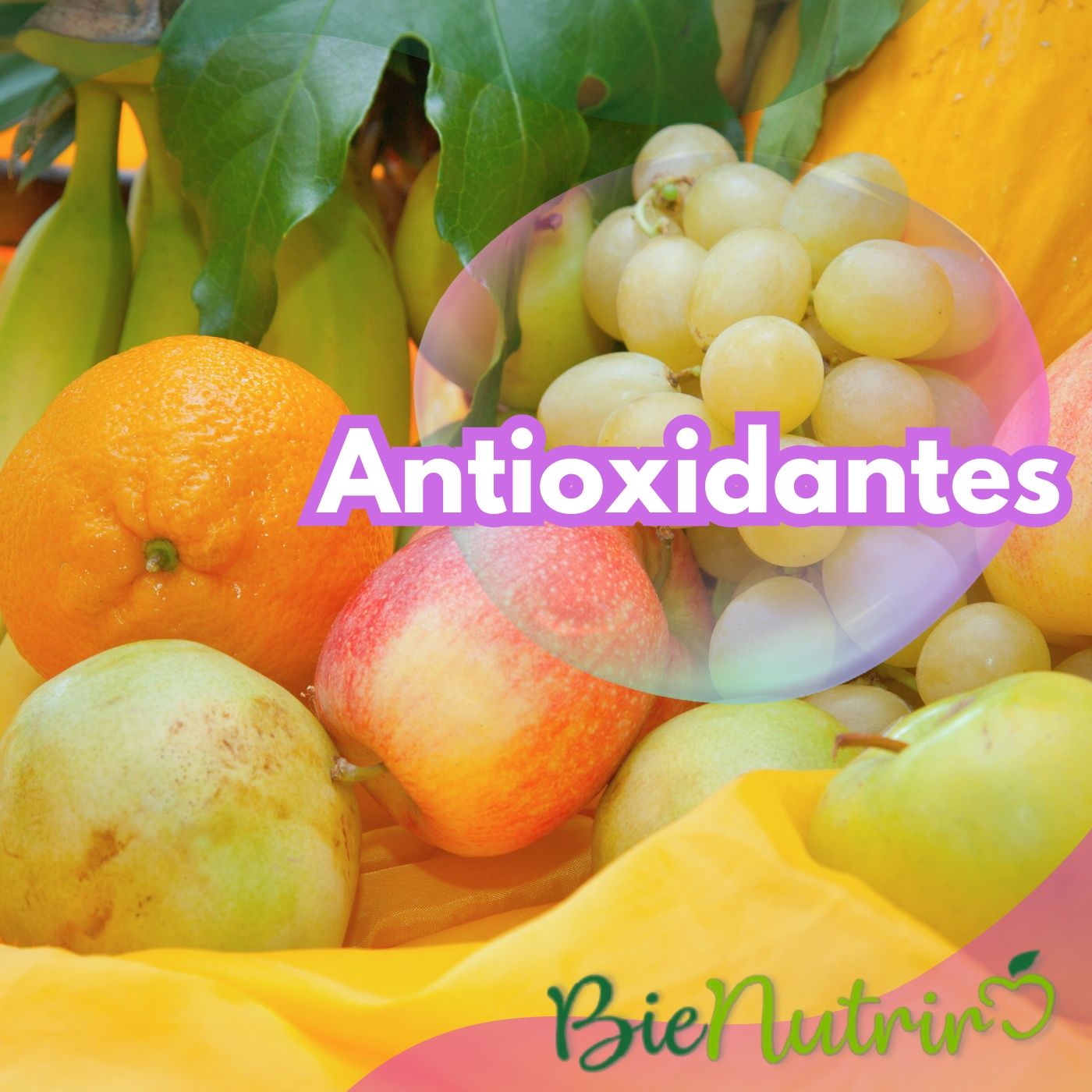 BieNutrir