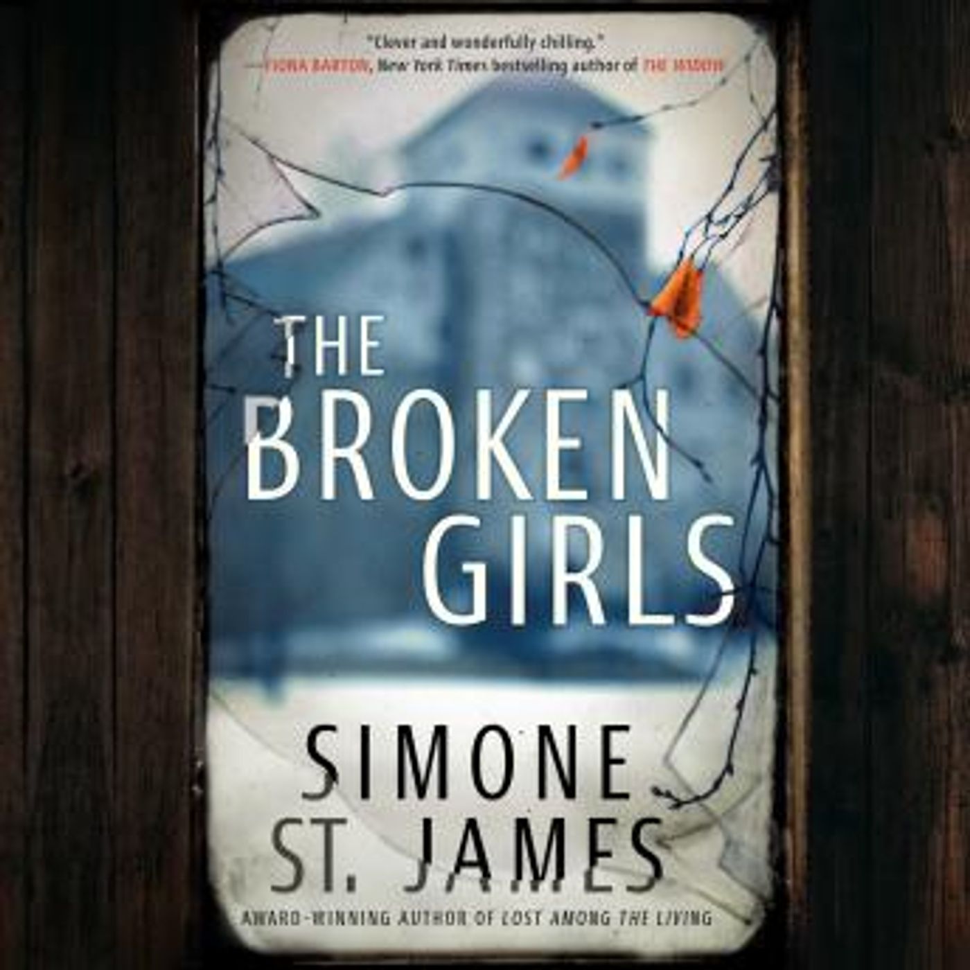 Download Incredible Full Audiobooks in Fiction, Contemporary Women