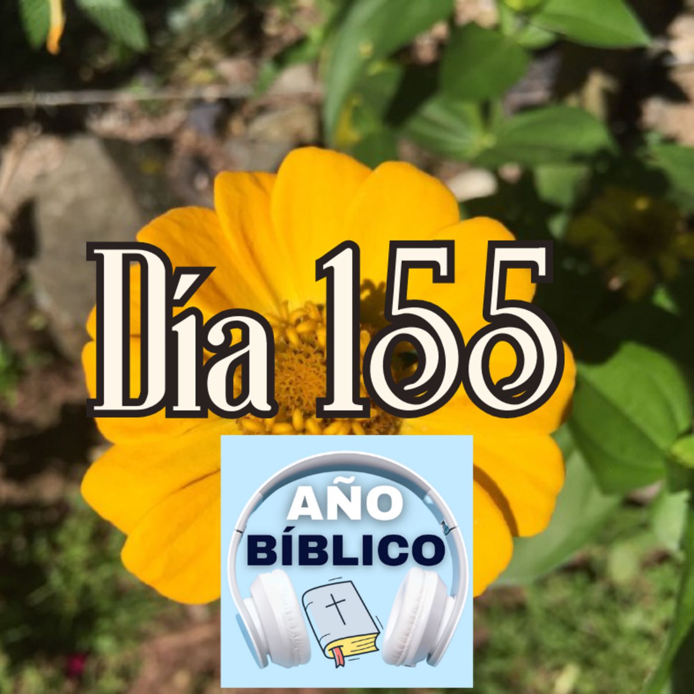 Día 155 - Salmos 68:28-35, 1 Reyes 13-14 y Hechos 22:6-16 episode artwork