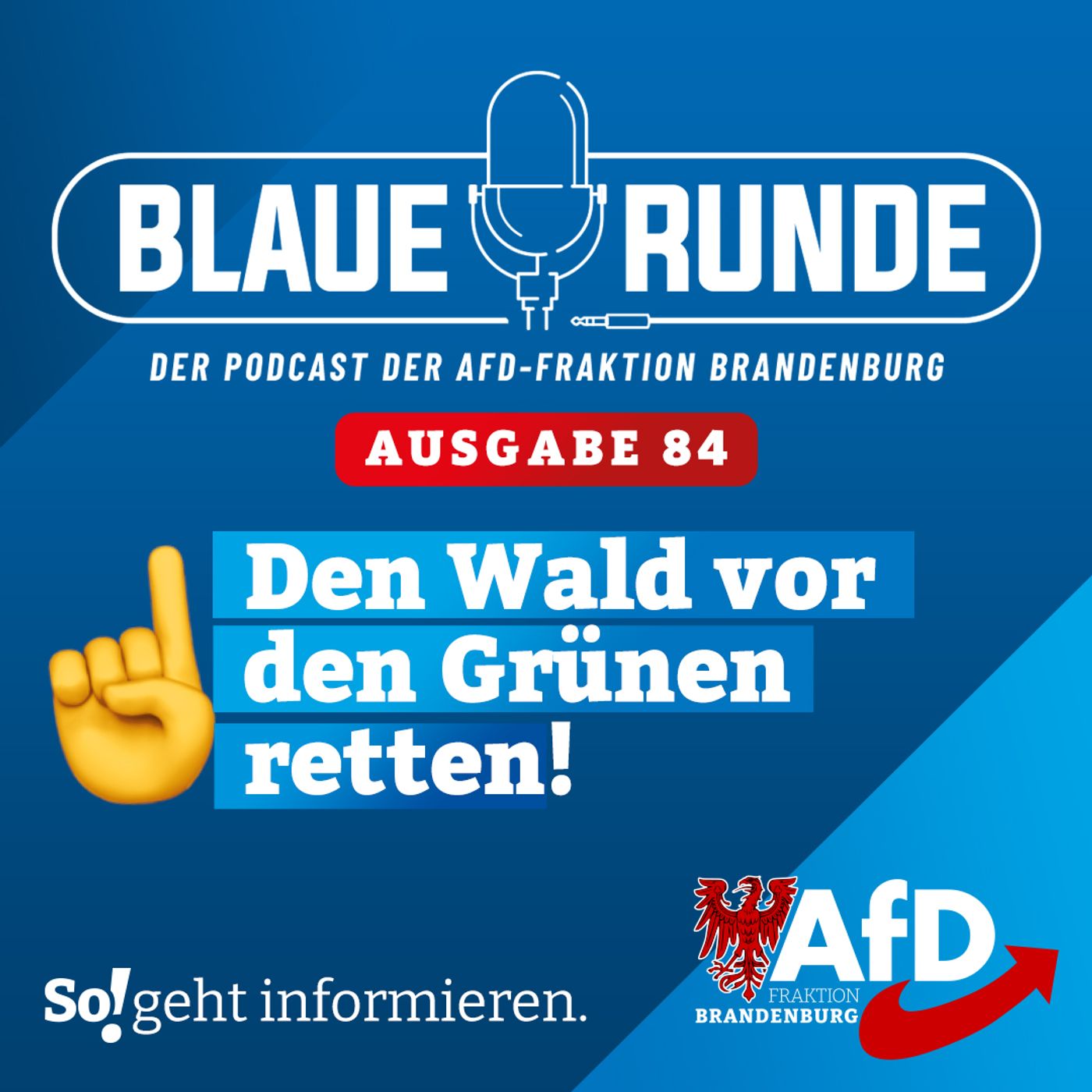 Die Blaue Runde - der Podcast der AfD-Fraktion Brandenburg