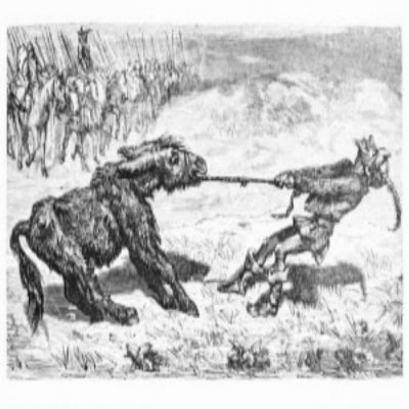 FFGF- The Ass & The Old Shepherd