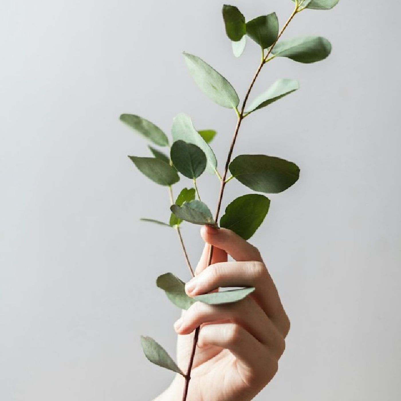 Emotional intelligence for daily life