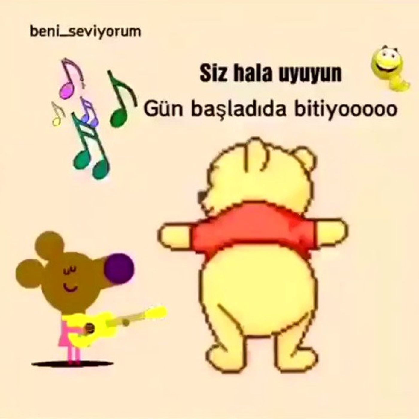 Allam bu çınar mı