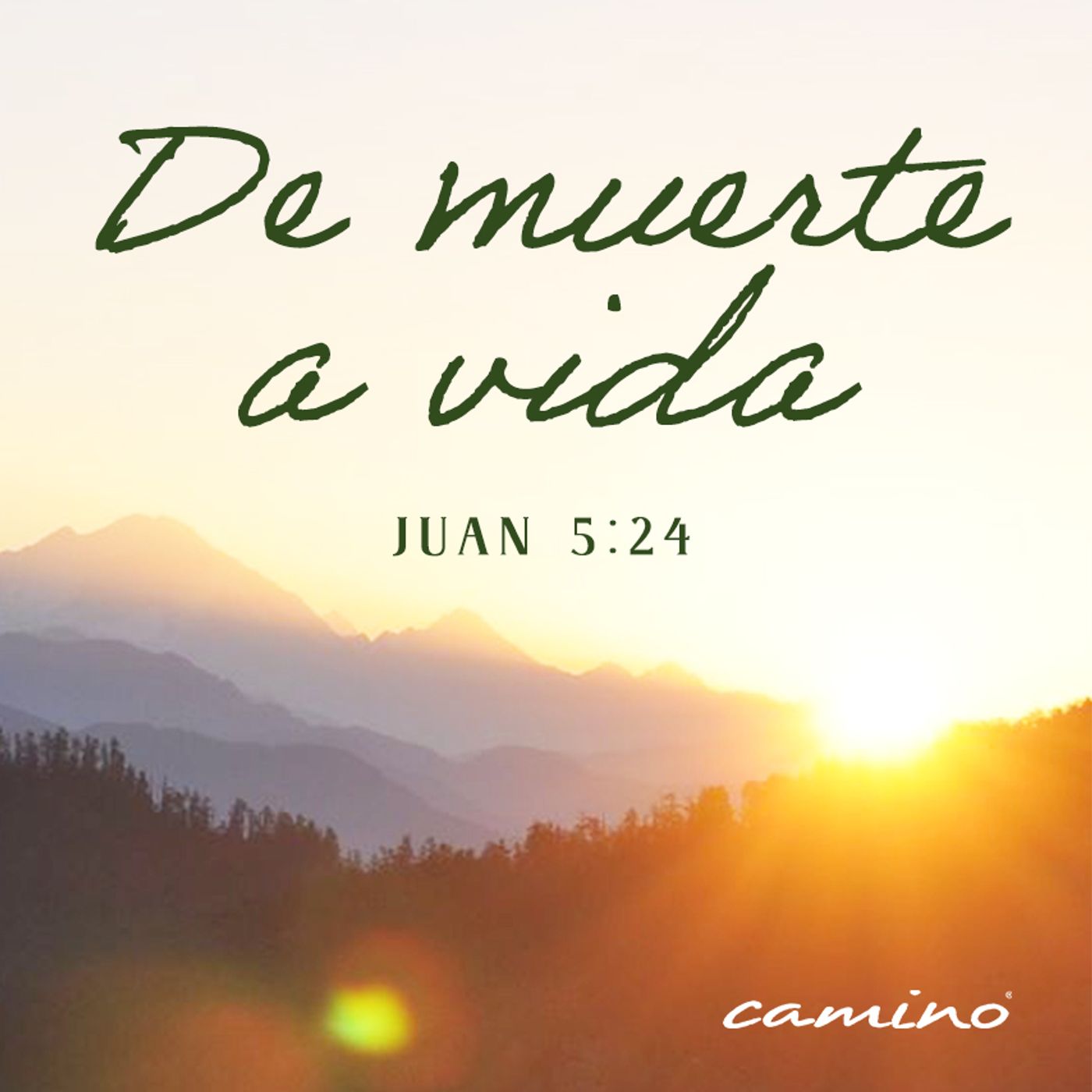 Oración 3 de marzo (De muerte a vida) episode artwork