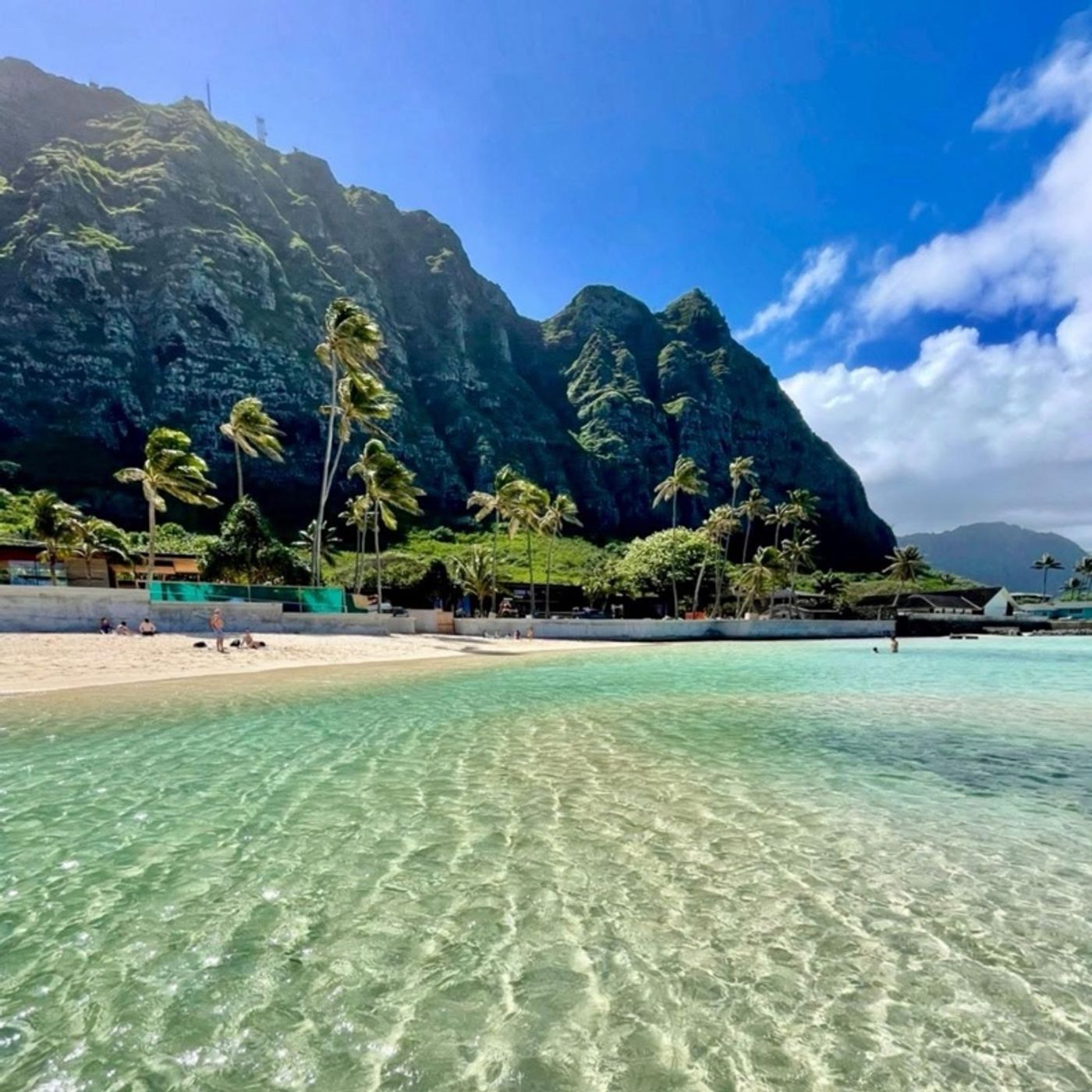 Episode 252 - Thoughts From Cora