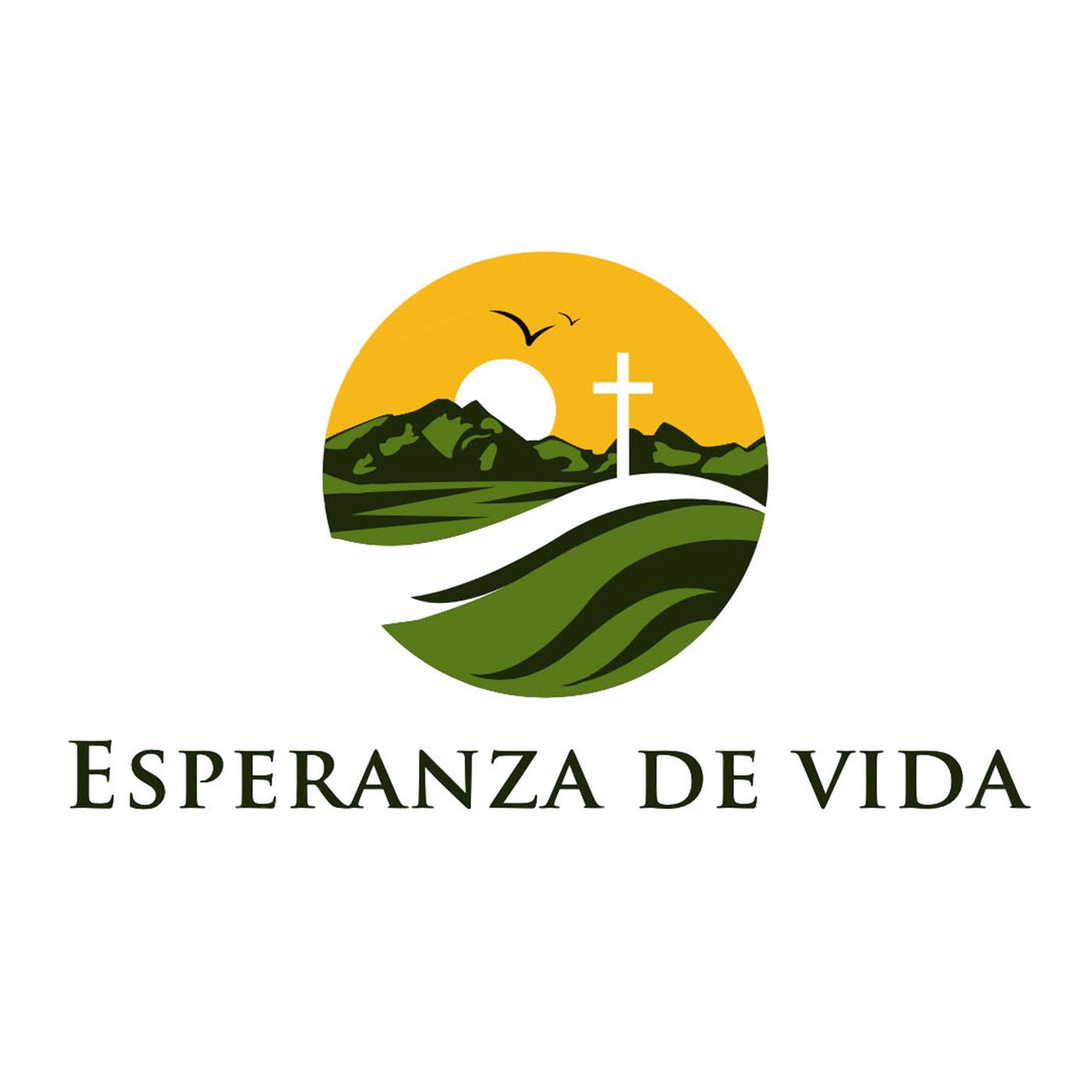 YO SOY EL CAMINO Y LA VERDAD Y LA VIDA