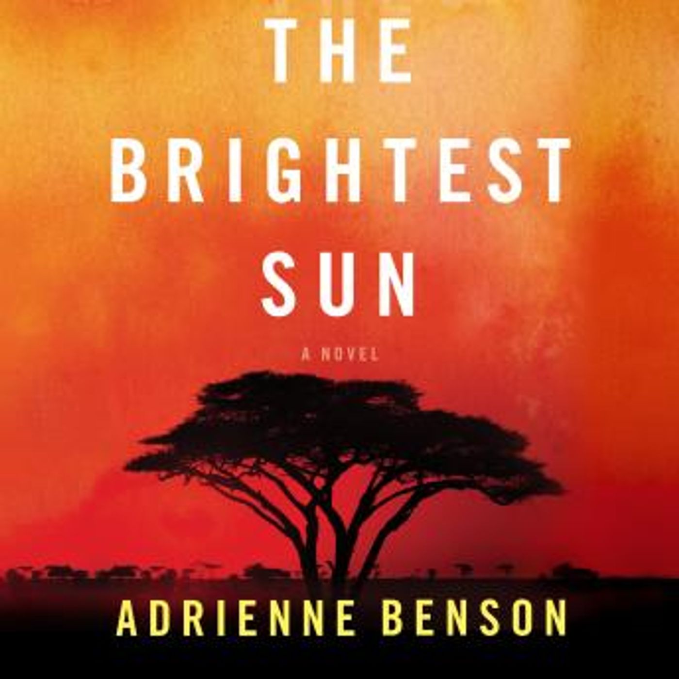 Enjoy Amazing Full Audiobooks in Fiction, Drama