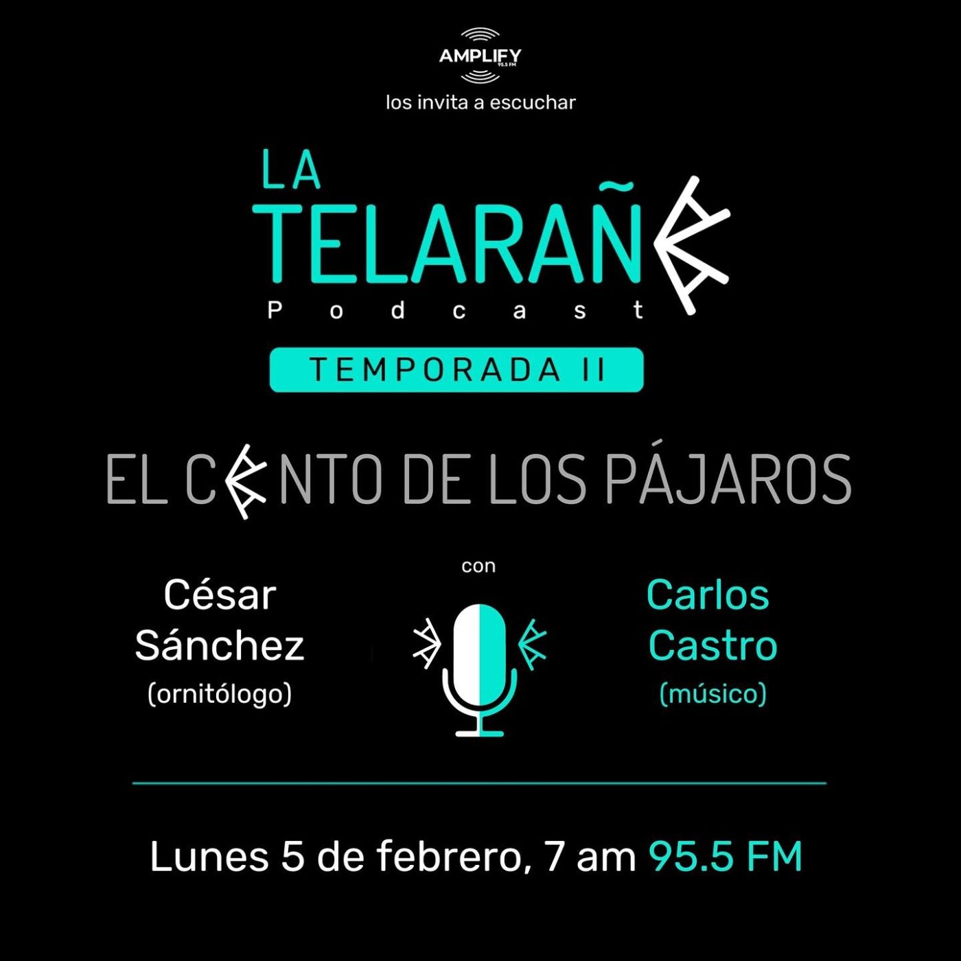 Portada de La Telaraña