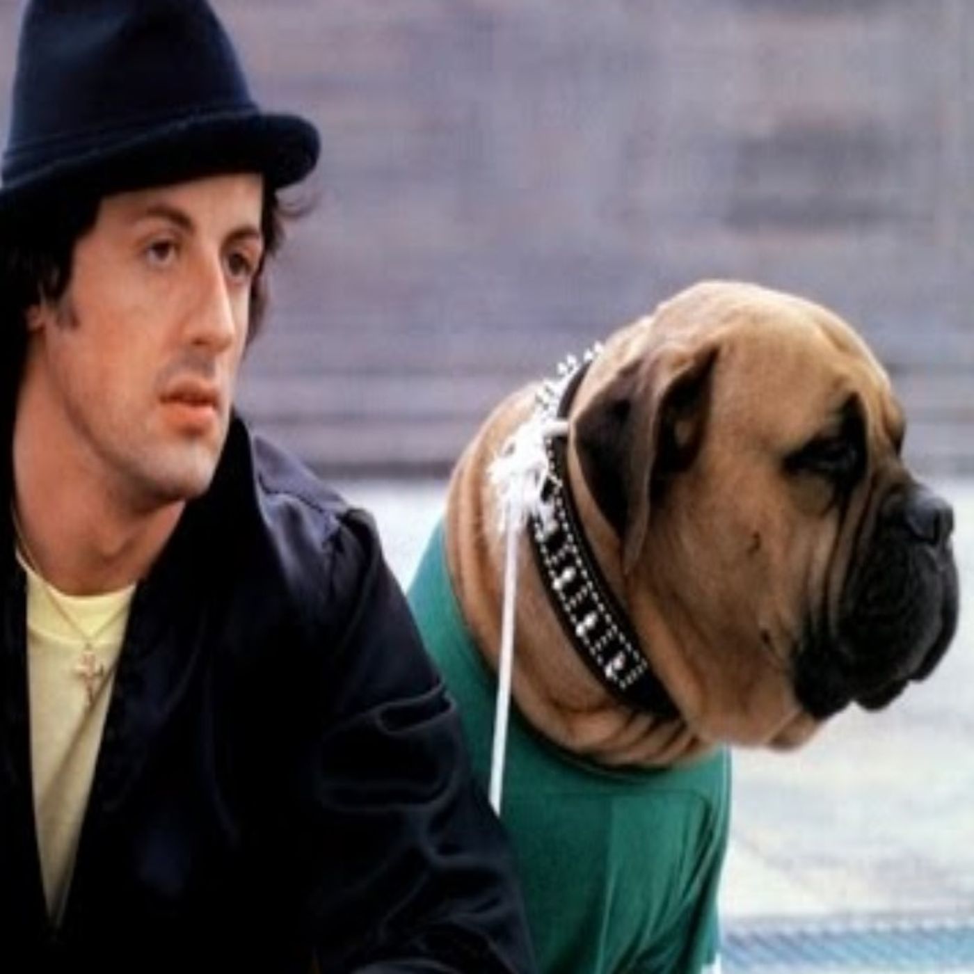 Rocky Story By Tony Robbins

SuccessSummary From Homeless To Rocky episode artwork