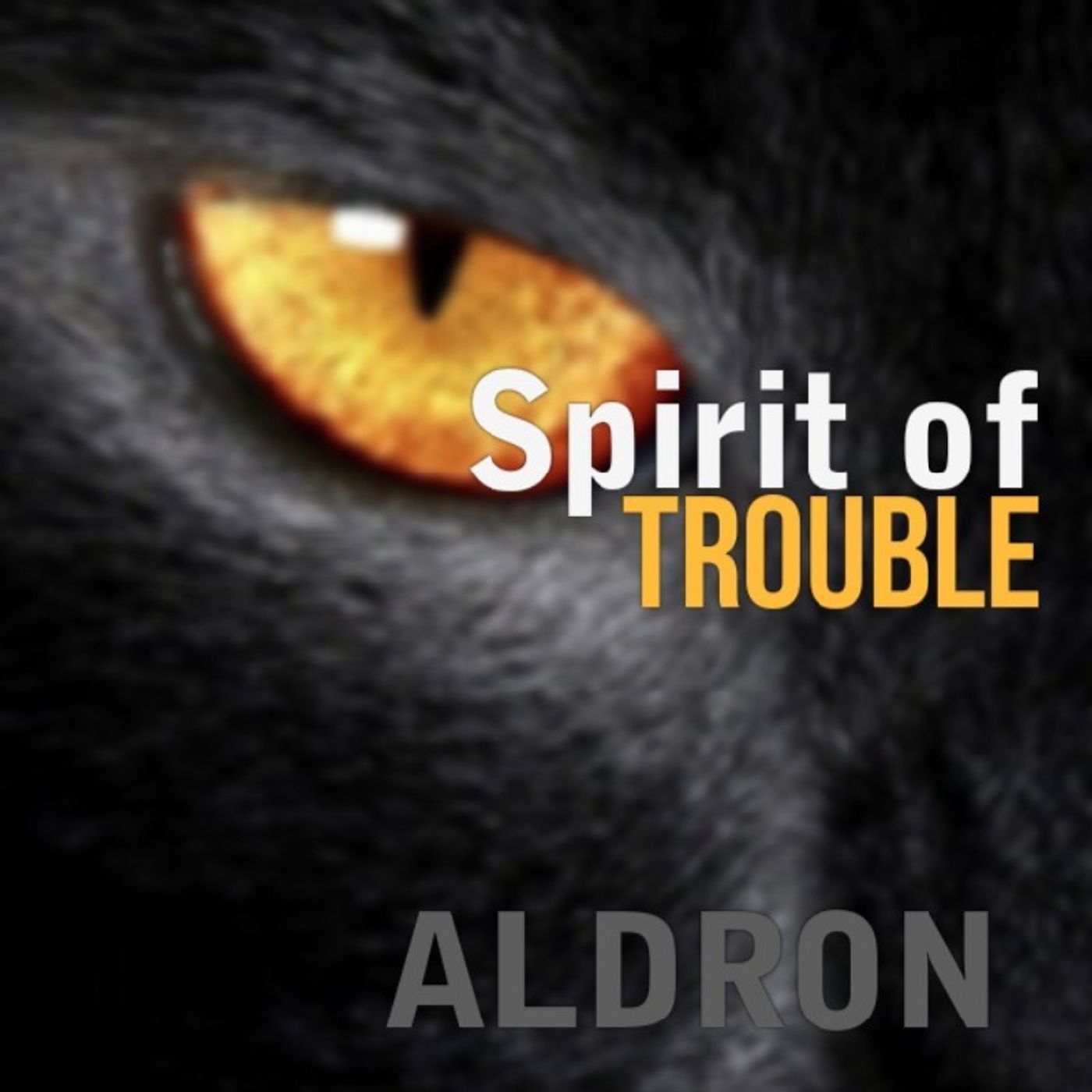 Spirit of TROUBLE (Part 1) episode artwork