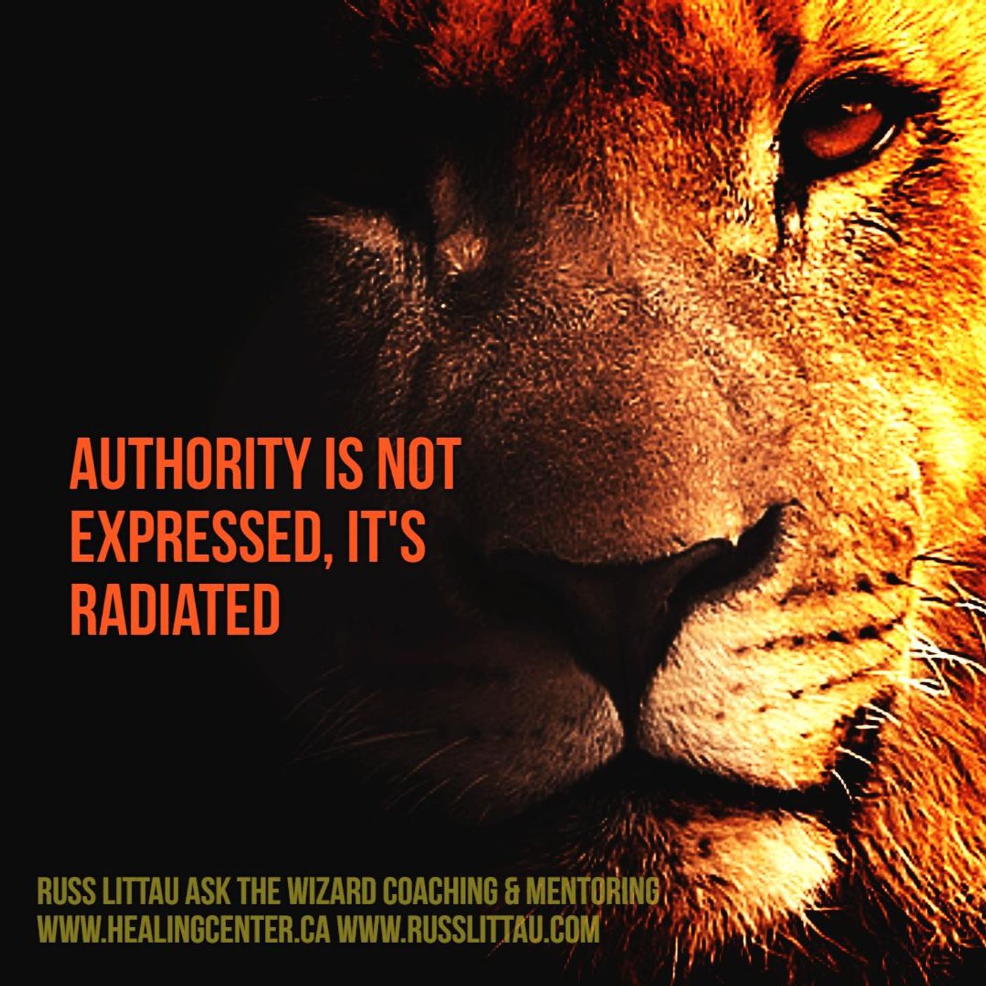 Ask the Wizard Coaching & Mentoring