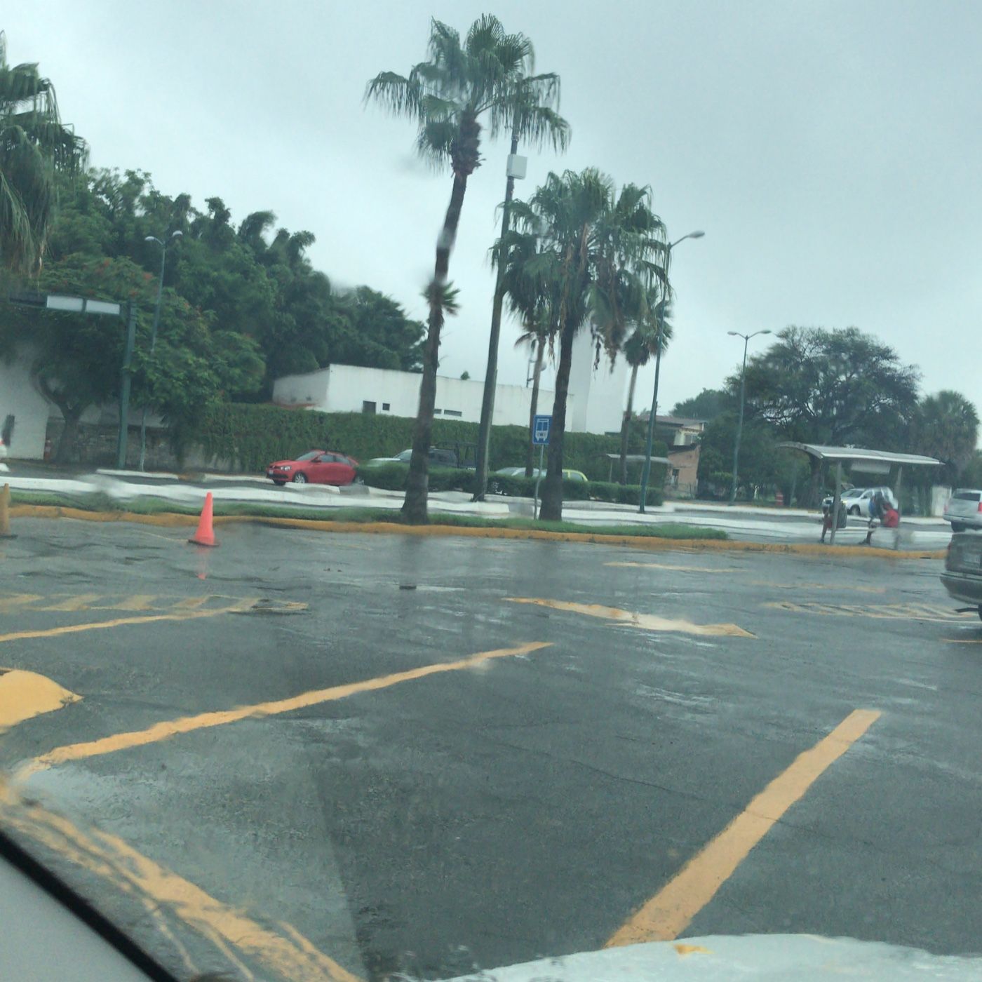 Conectando Con Tus Emociones