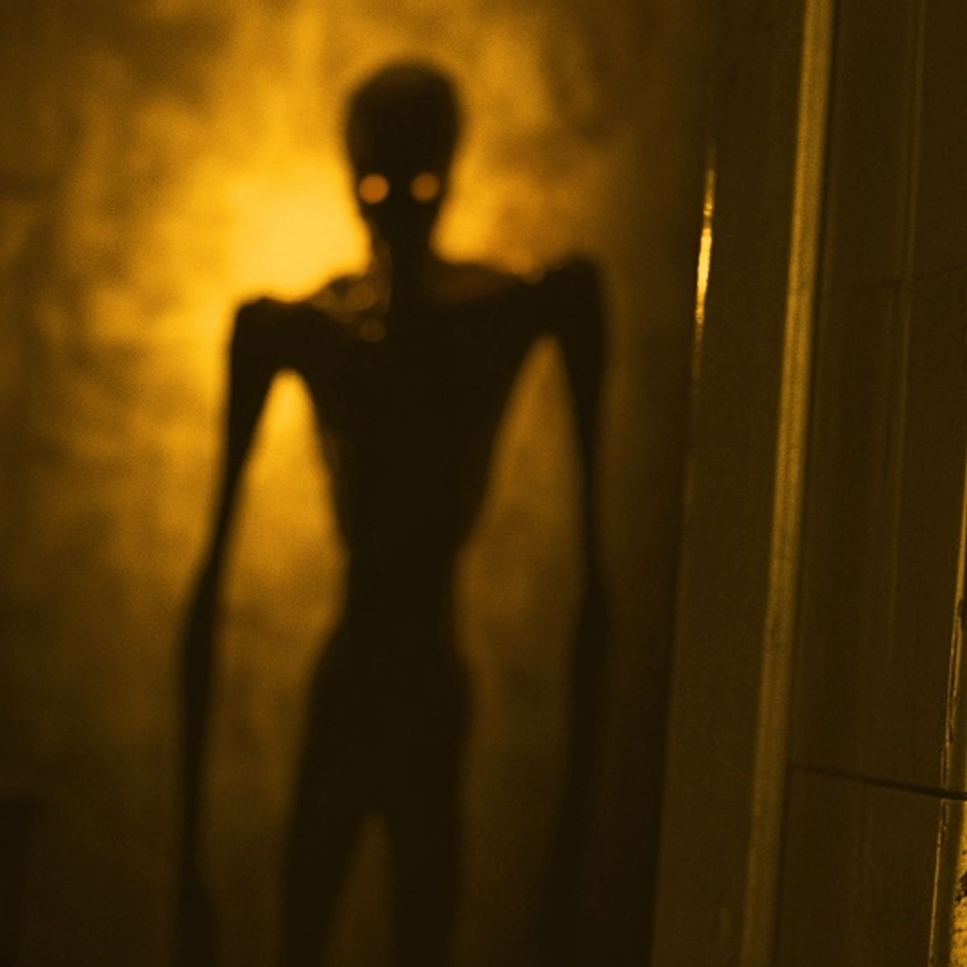 La ENTIDAD Que Vivía En Mi Casa Historias De Terror - REDE