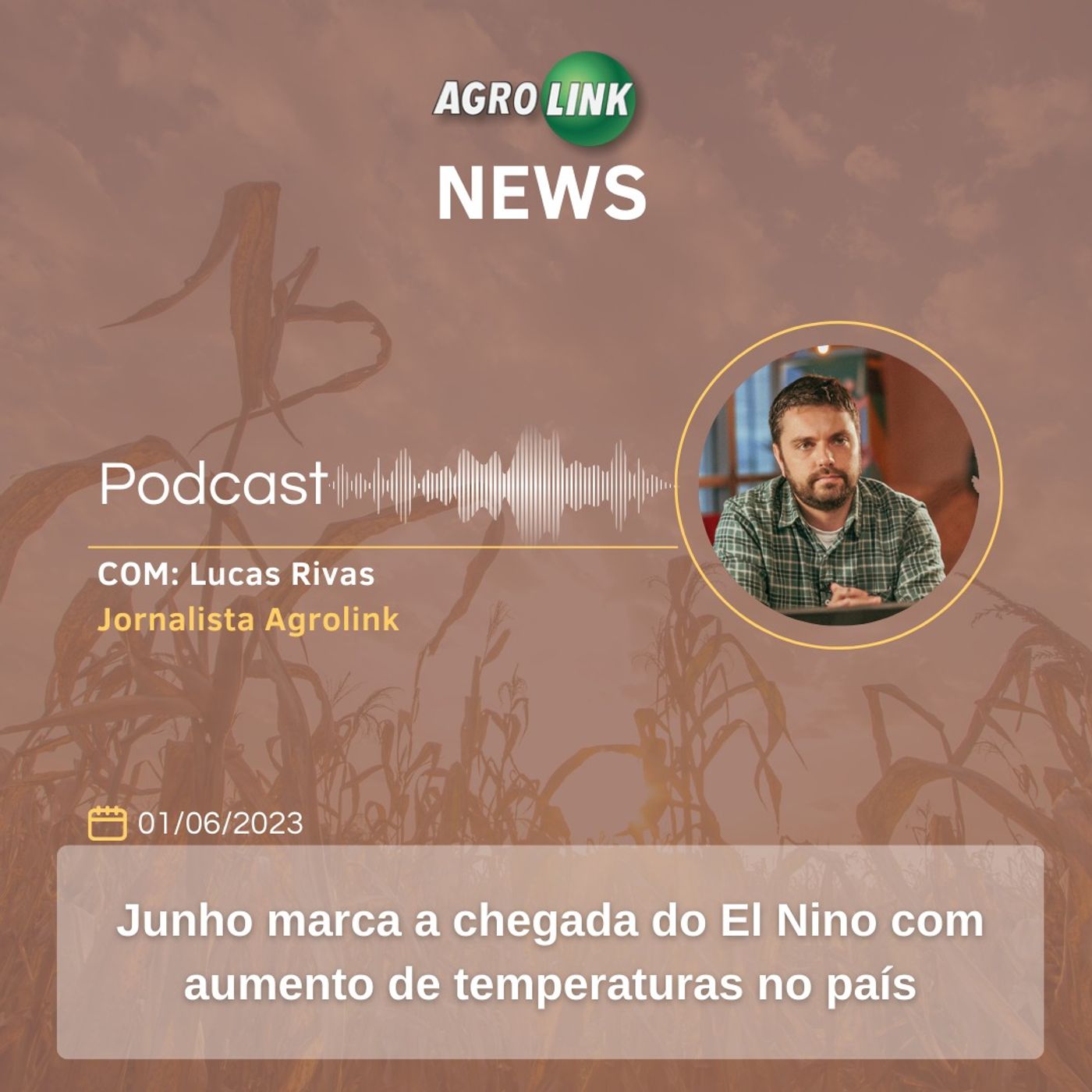 Safra brasileira de café corresponde a 1/3 da produção mundial episode artwork