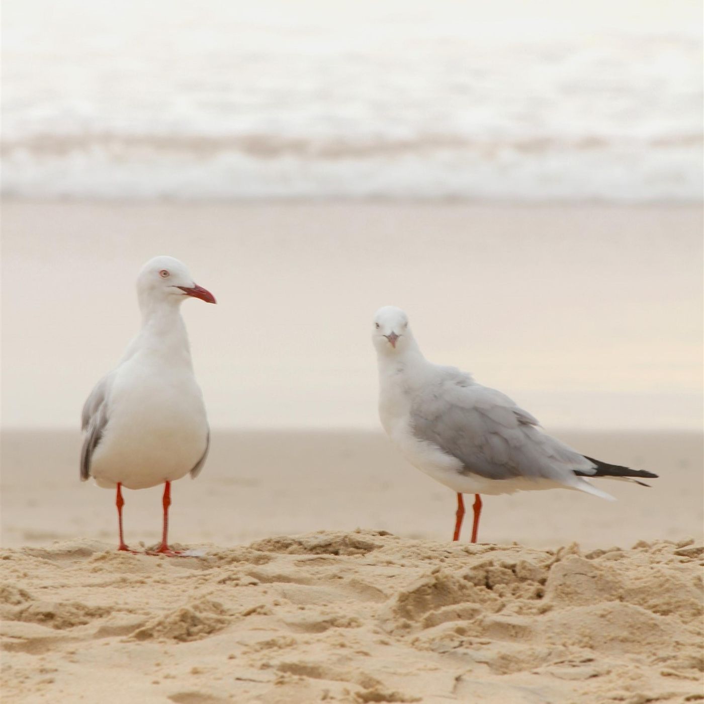 Sleep Sounds by Tmsoft