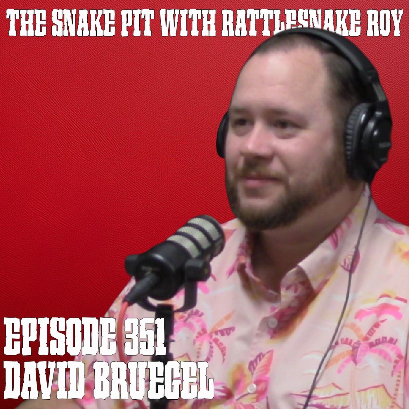 David Bruegel | The Snake Pit Episode 351 episode artwork