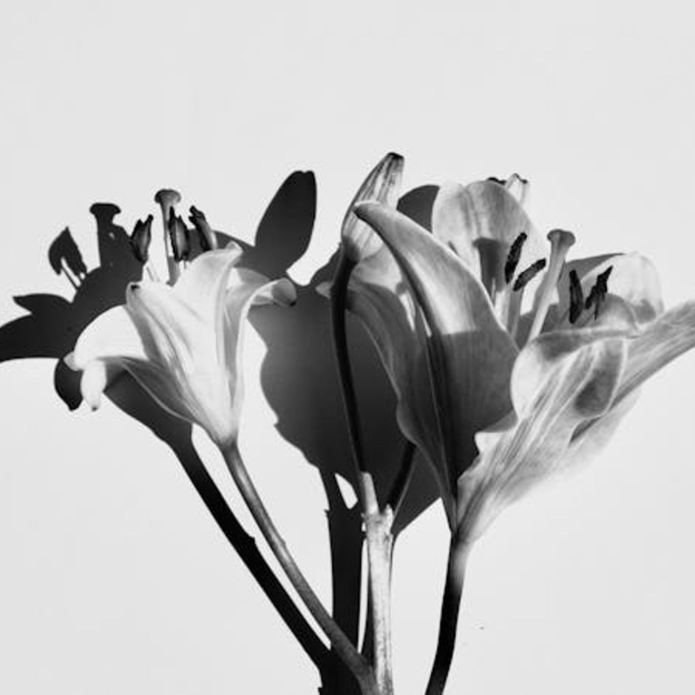 Can I Marry a Woman Half My Age?