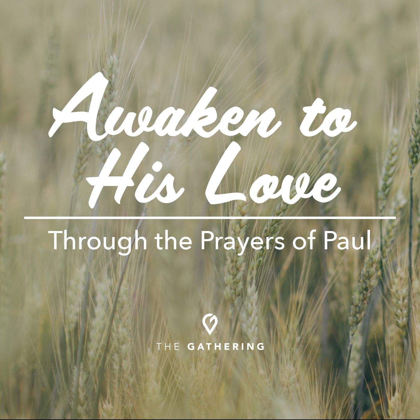 Awaken to His Love through the Prayers of Paul. episode artwork