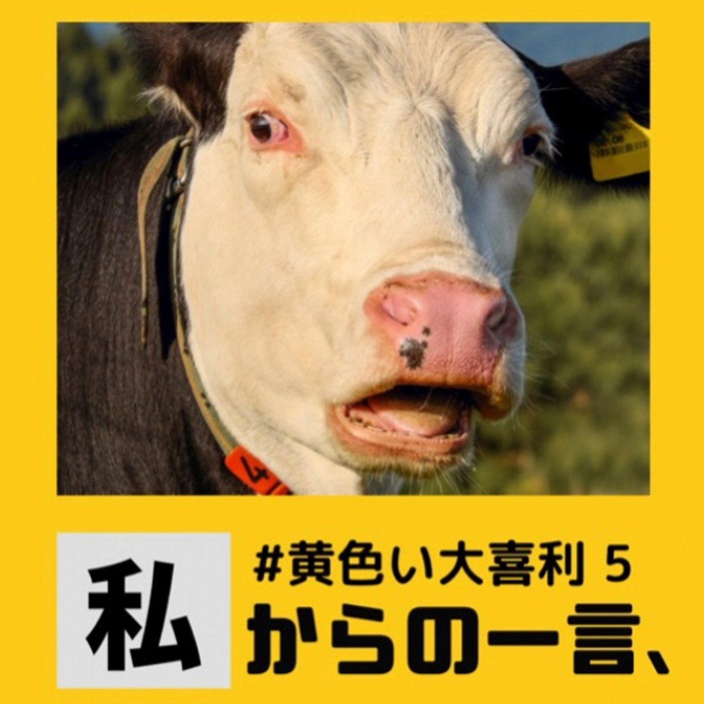 画像で一言🐮黄色い大喜利5🎋✨ episode artwork