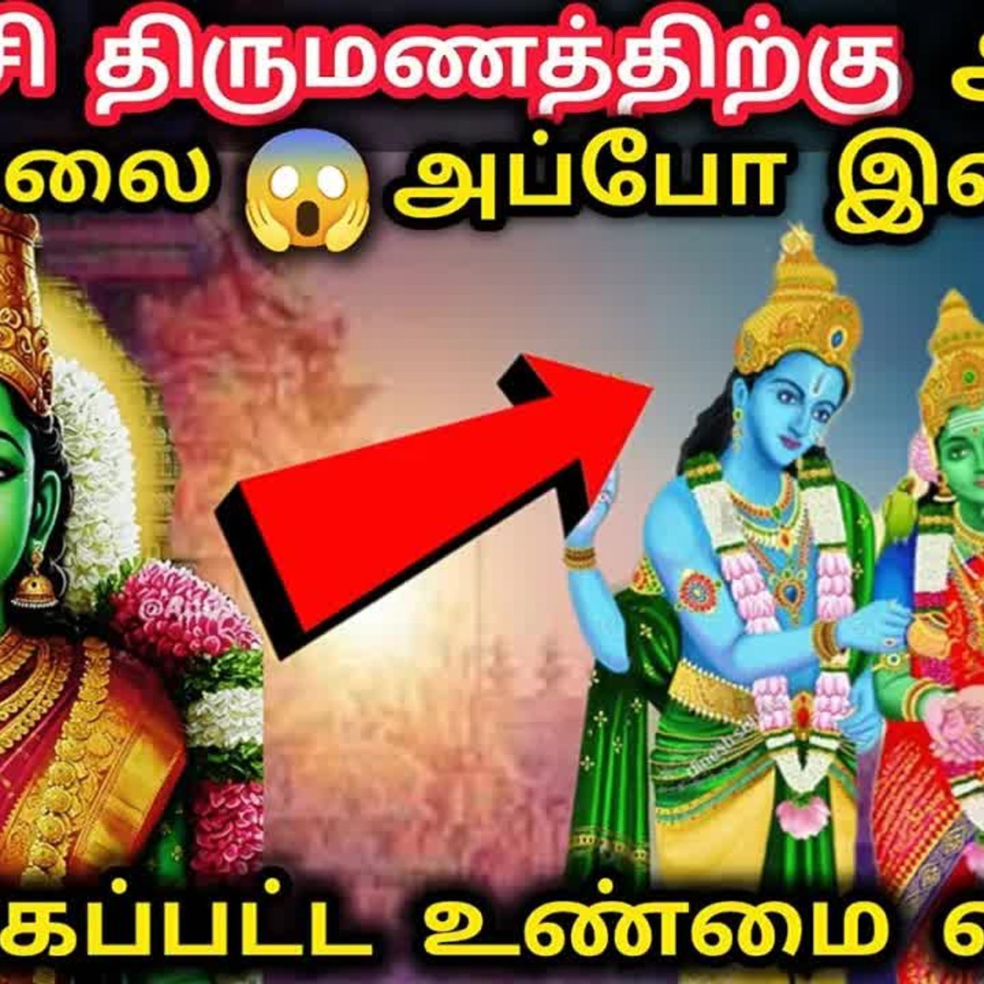 மதுரை மீனாட்சி சொக்கநாதர் திருக்கல்யாணம் episode artwork