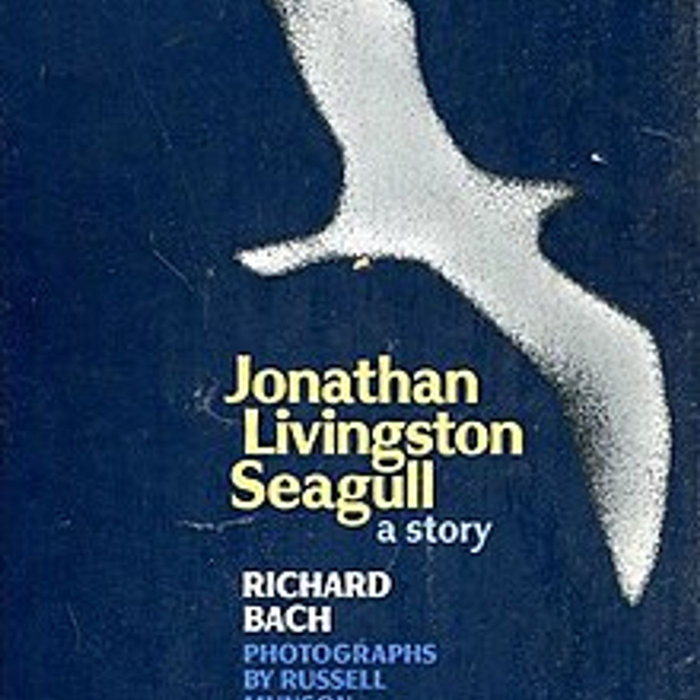 A Borat sequel, Jonathan Livingston Seagull, and Inception is a real thing