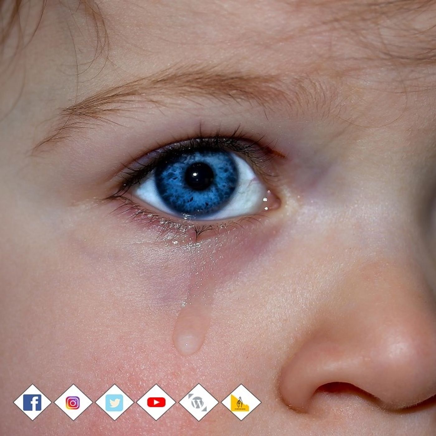 Campañas en pro de los niños